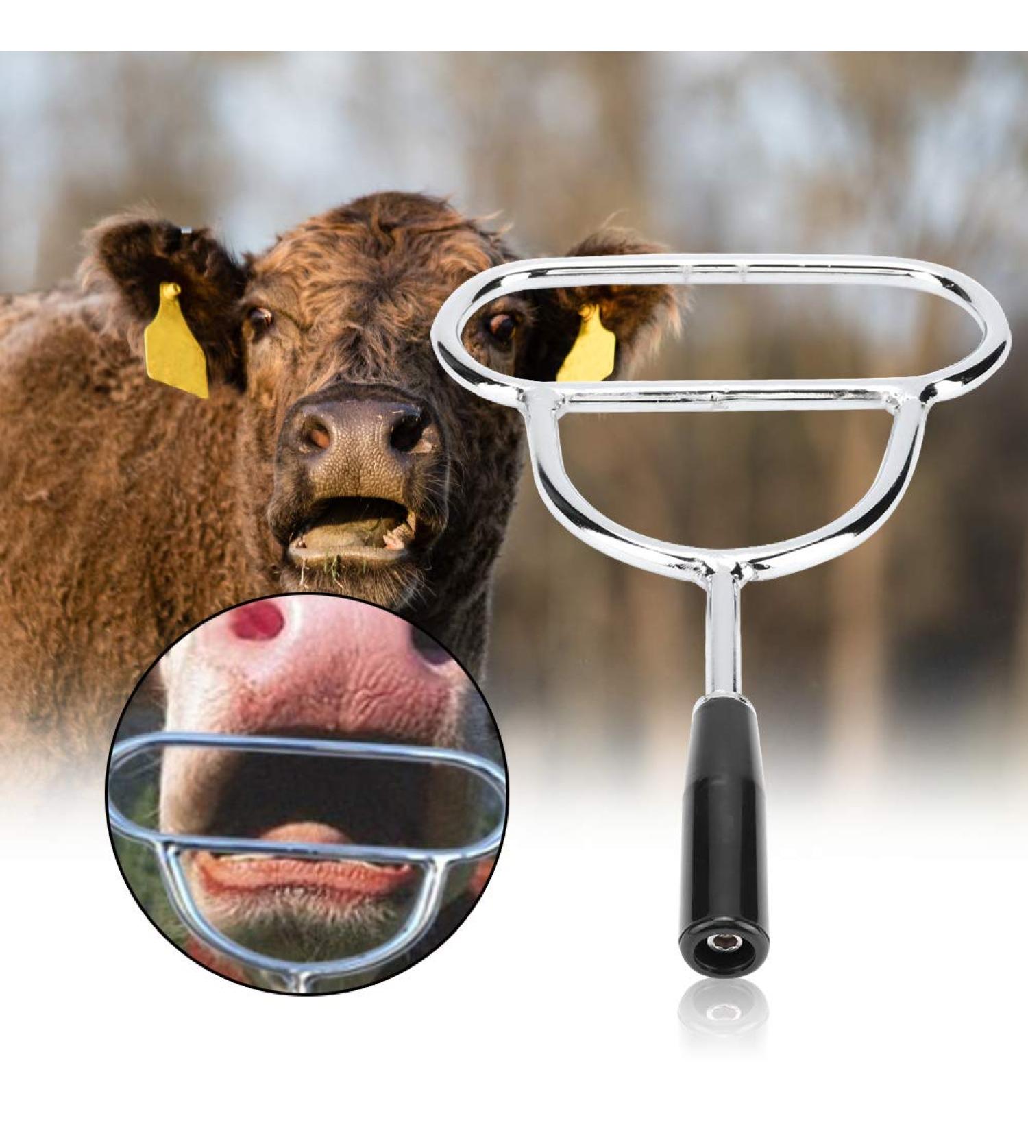 Cattle Dilator Smooth Edge Head Design Animals Dilator Cattle Animals for Home Horses - Buy Online on GoSupps.com