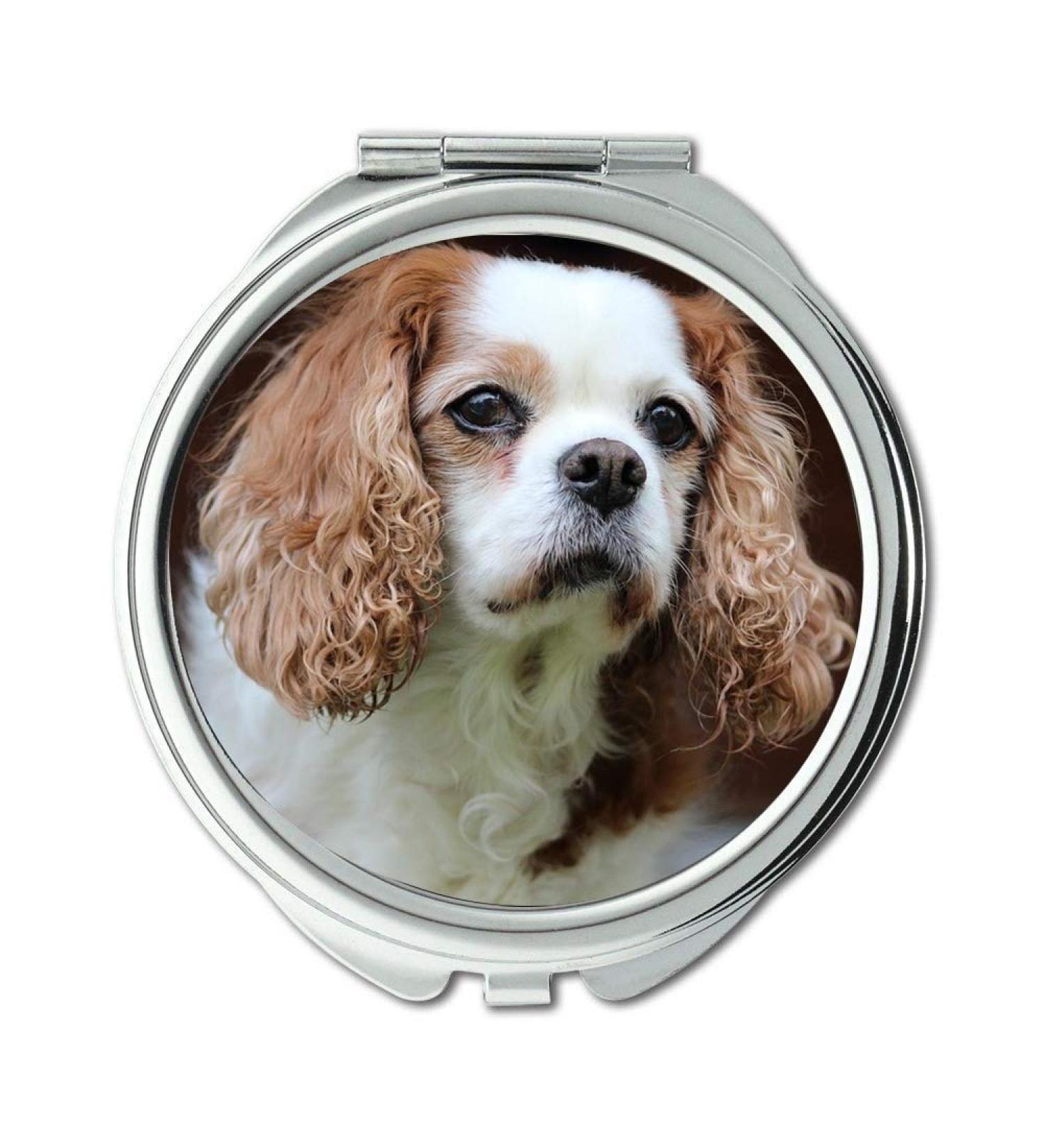 Mirror Travel Mirror King Charles Cavalier Pet Spaniel Dog Canine pocket mirror portable mirror - Buy Online on GoSupps.com