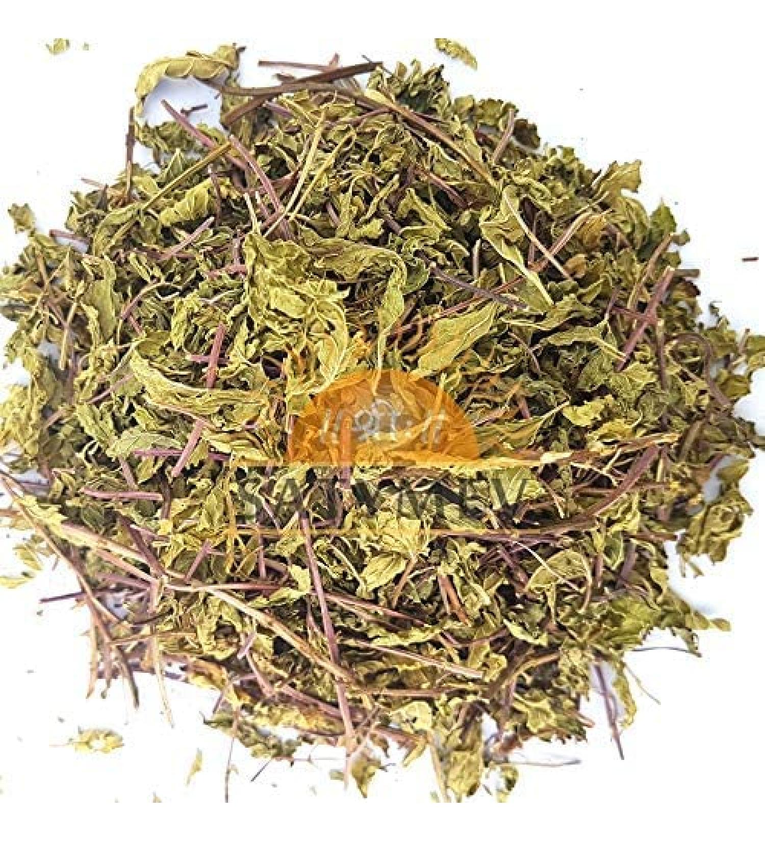 ORGANIZE SriSatymev Dry Pudina Leaves Mint 100 g
