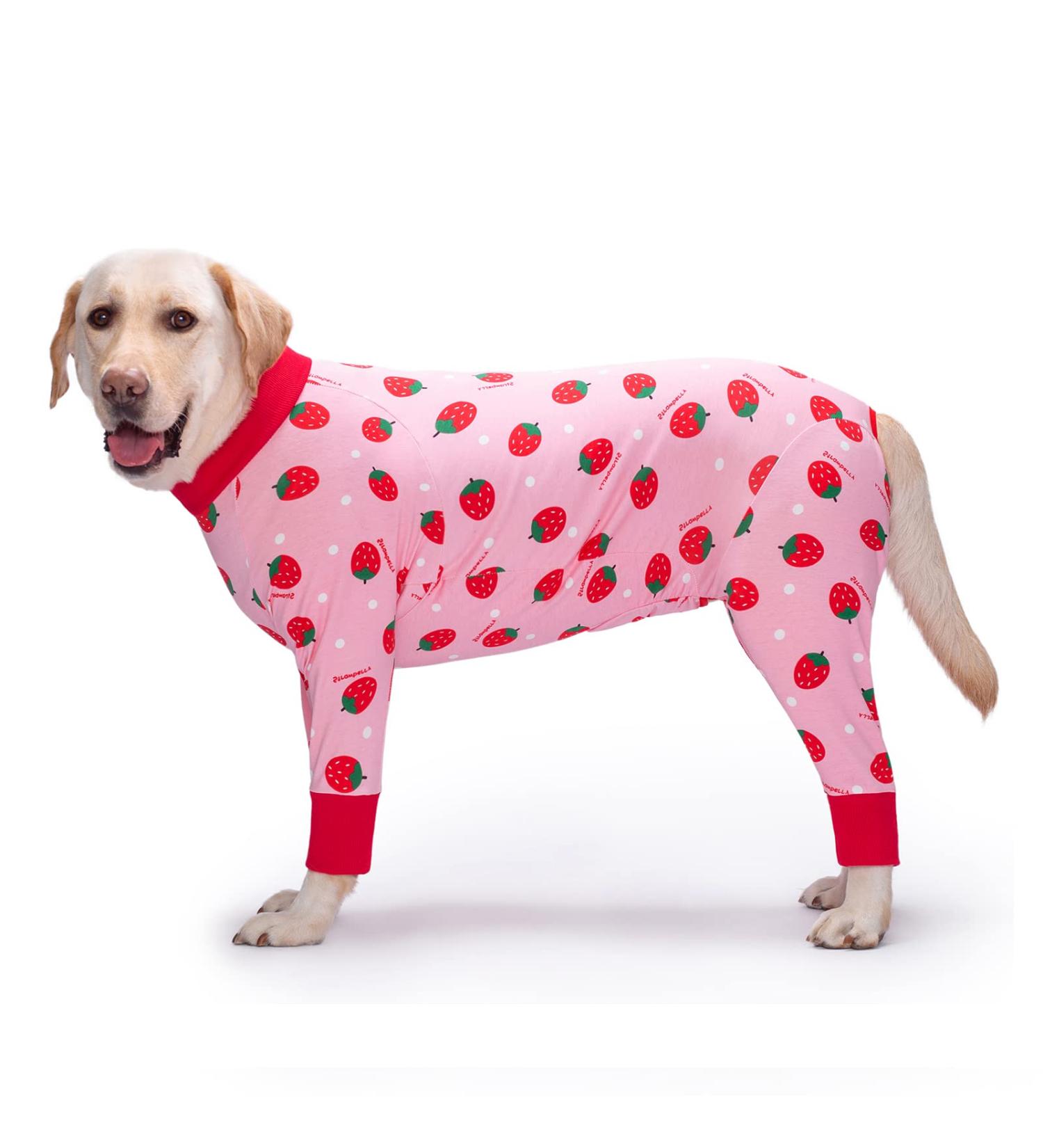 YeaPeeto One-Divider Pajamas for Large/Medium Dogs | Relaxation Hair Loss Allergies Wound Protection - Cone Alternative (4XL Strawberry) - Buy Online on GoSupps.com