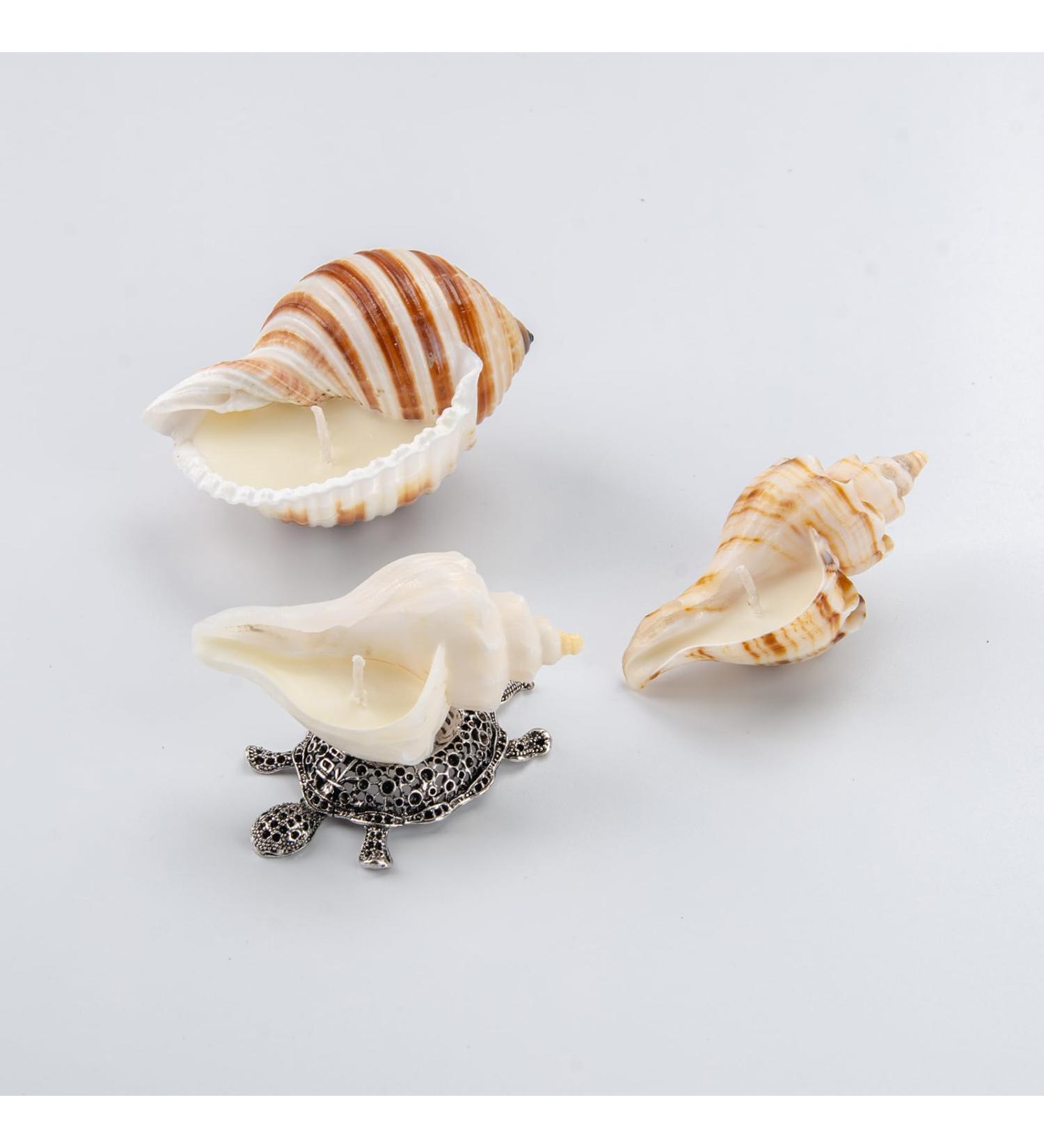 Handmade Natural Scented Candles - Conch Shell Soy Wax with Essential Oils | Perfect Gifts for Birthdays Christmas & Stress Relief - Buy Online on GoSupps.com