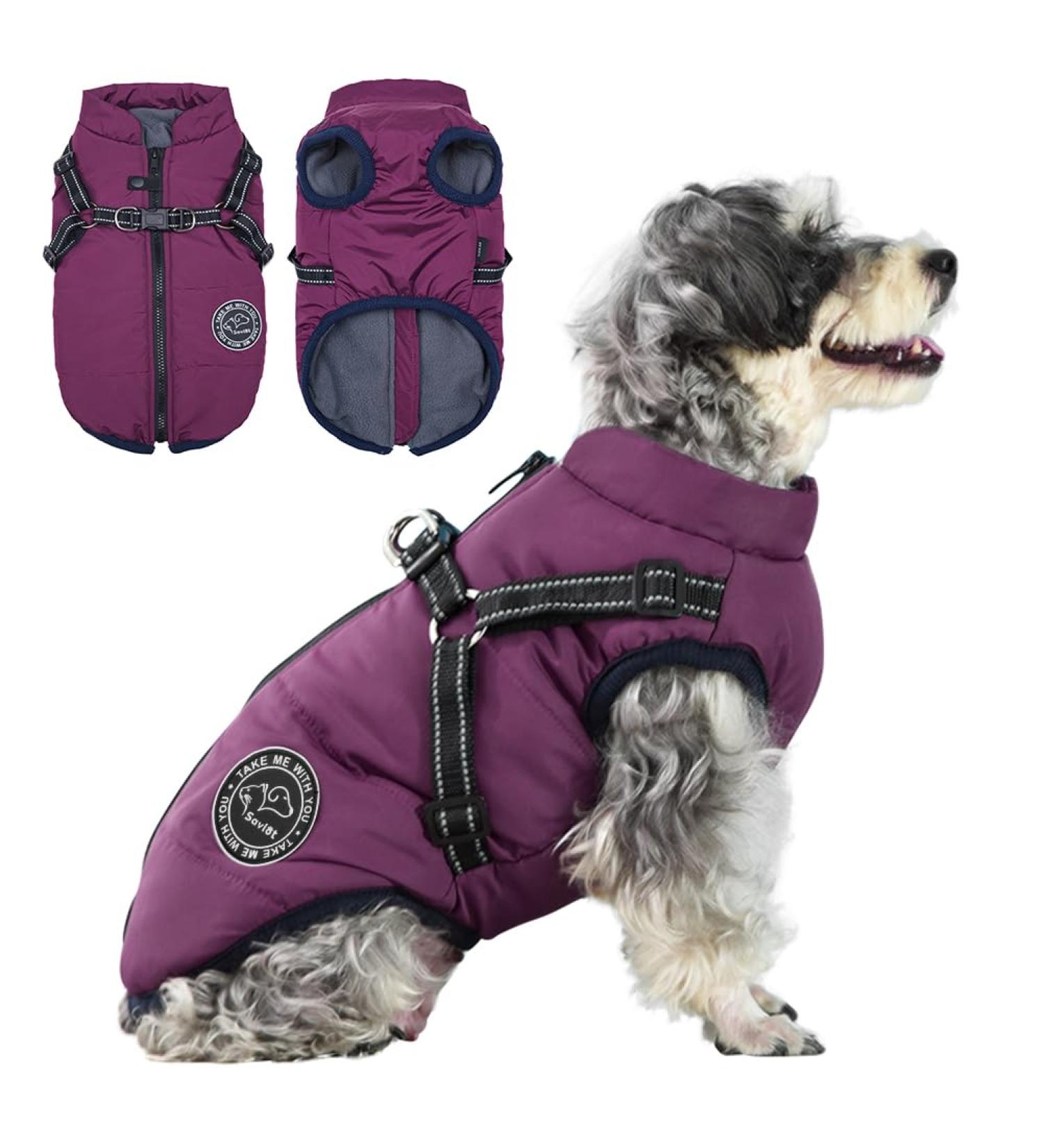 Shop Savlot Dog Winter Jacket - Sleeveless Cotton Vest with Chest Strap - Purple Medium (1 Pack) - Perfect for Skiing & Cold Weather - Buy Online on GoSupps.com