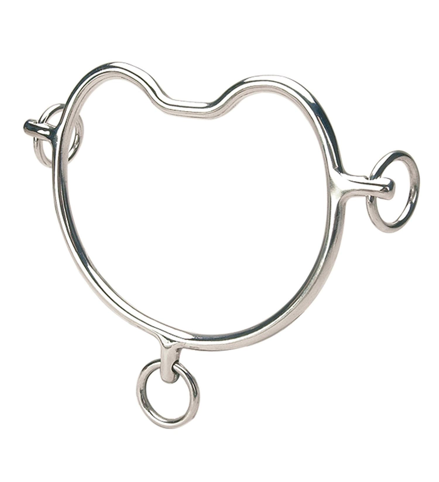 Shires Chifney Steigergiss stainless steel