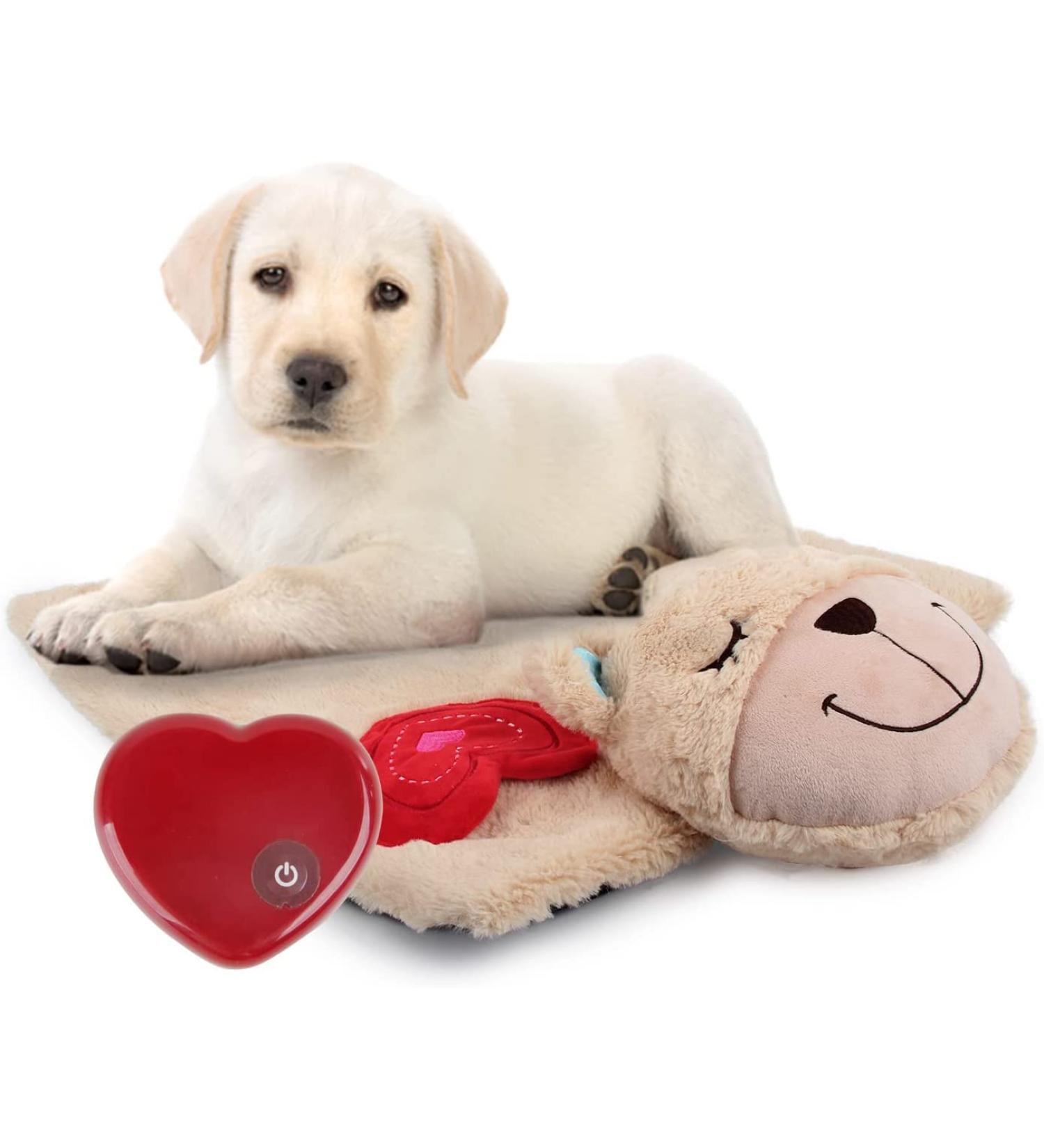 All for Paws Heartbeat Plush Toy for Dogs | Cuddly Puppy Toys for Behavioral Support | Soft Pet Blanket - Buy Online on GoSupps.com