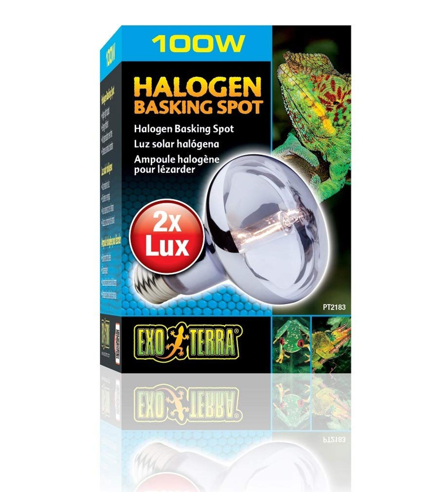 Exo Terra Halogen Basking Spot Bulb 100 W - Buy Online on GoSupps.com