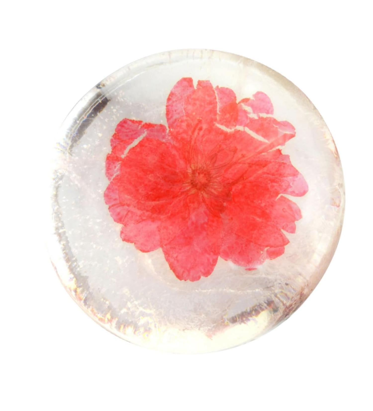 minkissy Transparent Soap Face Cleanser Soap Cleaning Solid Soap Body Cleaning Care Soap Scented Soap Facial Cleaning Soap Skin Cleanser Soap Flowers Acid Soap Essence Etc. - Buy Online on GoSupps.com