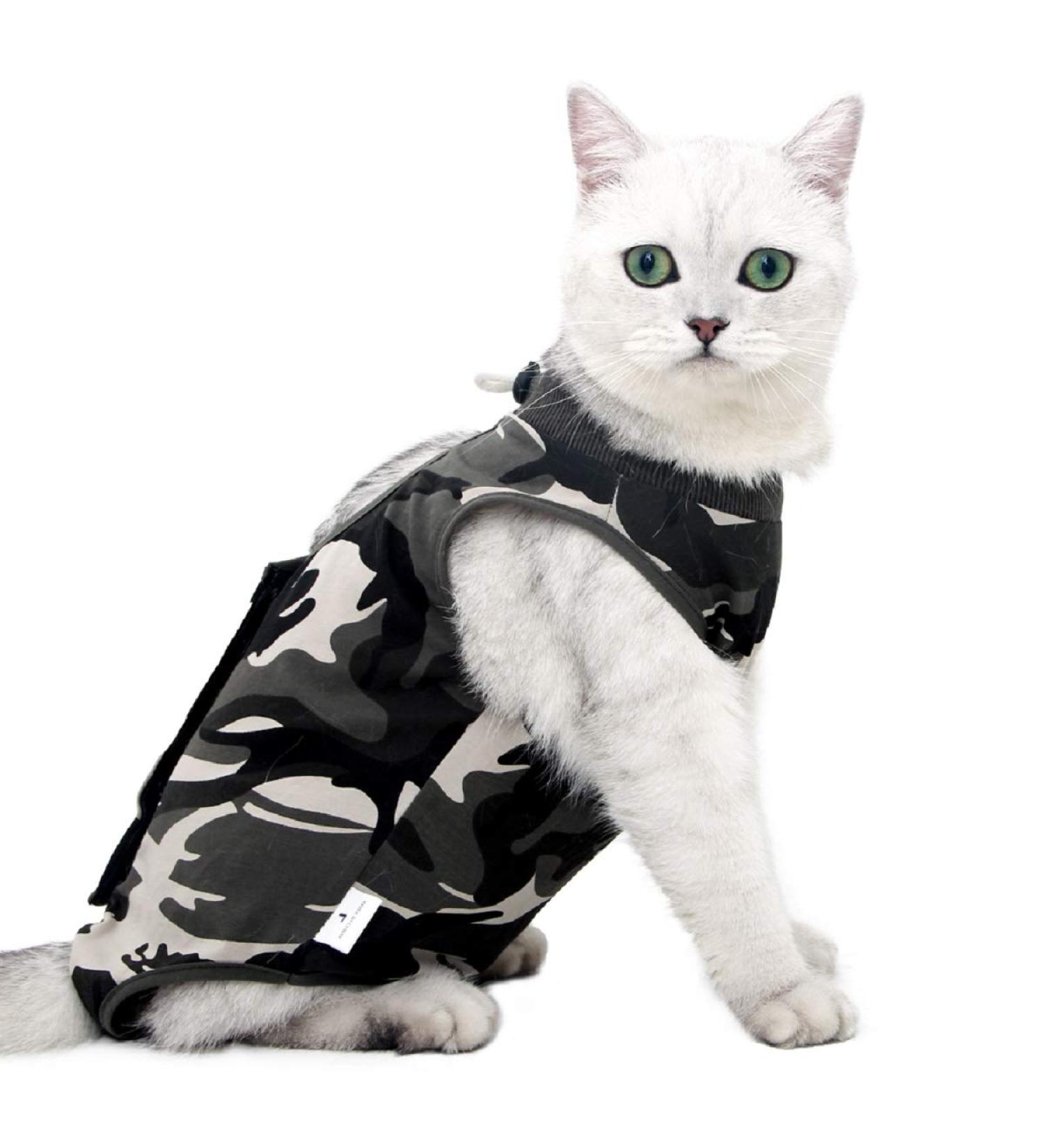 Ouuonno Cat Wound Surgery Recovery Suit | Abdominal Wound & Skin Disease Pajama | E-Neck Band Alternative for Cats & Dogs (L Camouflage) - Buy Online on GoSupps.com