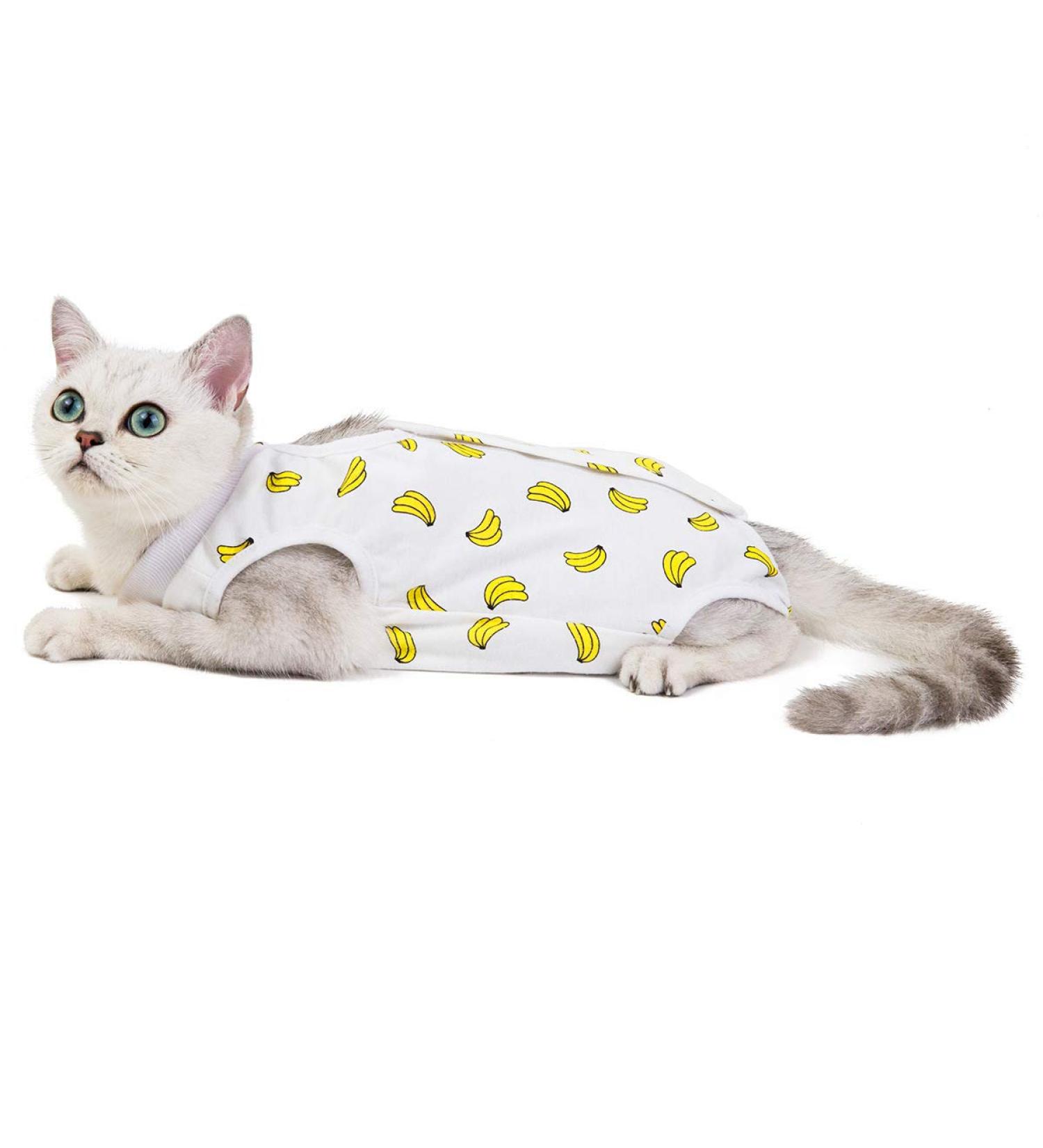 NashaFeiLi Professional Cat Recovery Suit for Abdominal Wounds and Skin Diseases E-Collar Alternative for Cats Dogs (Banana L) Banana L--Back length 35cm - Buy Online on GoSupps.com