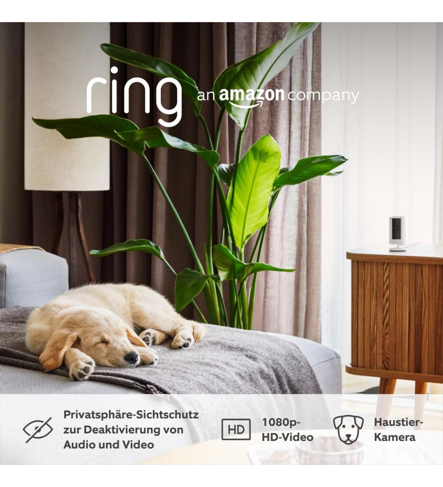Ring Indoor Camera 2nd Gen - 1080p HD Monitoring | WiFi Security Camera for Pets | Self-Installation | 3-Pack White - Buy Online on GoSupps.com