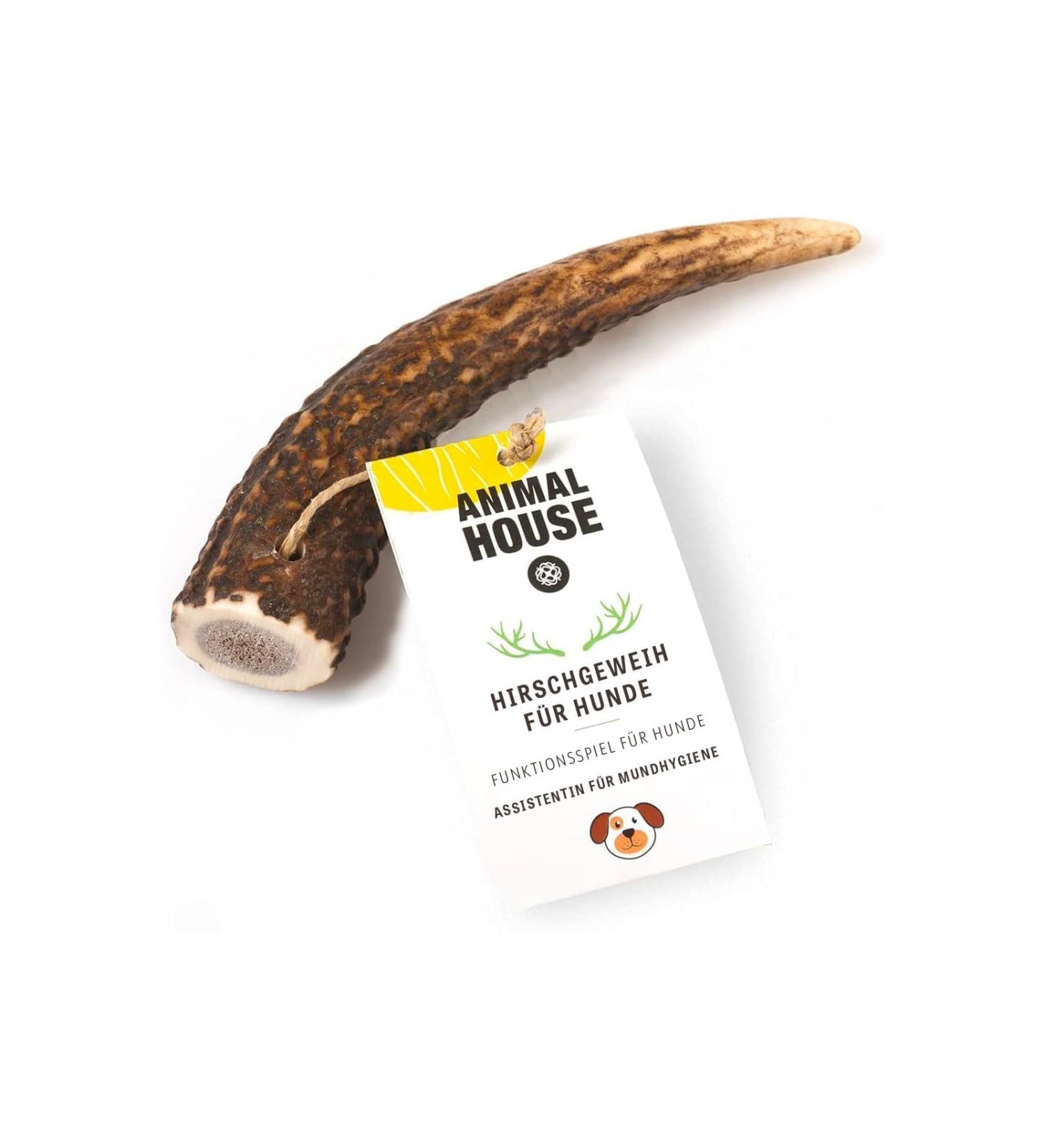 Animal House Whole Deer Antlers for Dogs - 100% Natural Chews for Dental Health - Durable & Resistant - Available in All Sizes - Buy Online on GoSupps.com