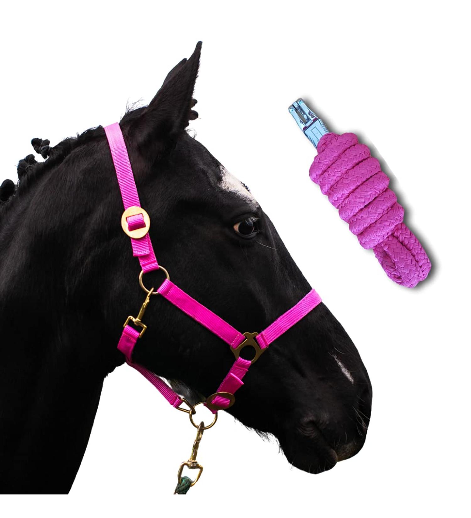 Halter for Horses with Rope | Pink Mini Shetty & Full Sizes | Premium Knitting Design for Ponies & Thoroughbreds - Shop Internationally! - Buy Online on GoSupps.com