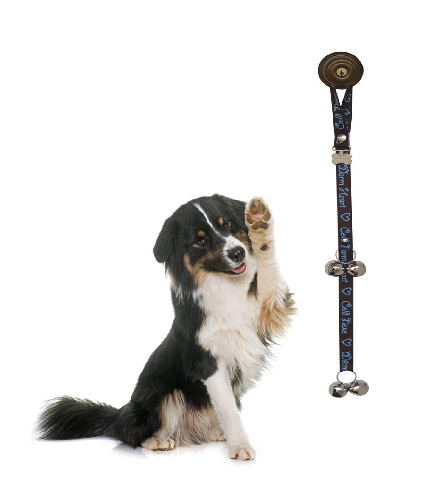 Poochie Bells Dog Training Doorbell - Cold Nose Warm Heart for House Training & Walking - Buy Online on GoSupps.com