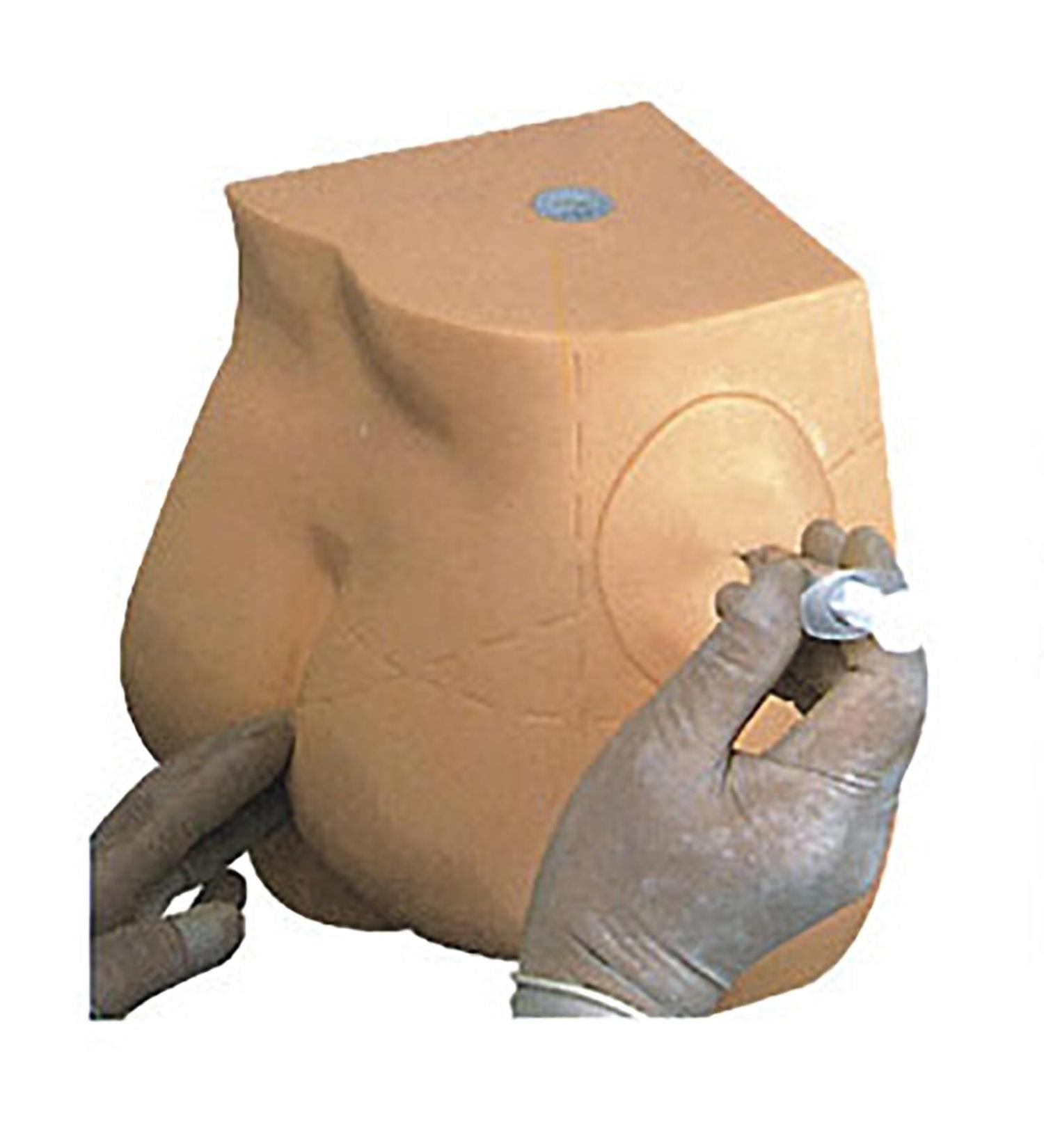 Realistic Hip Injection Training Simulator - Removable Skin & Rectal Module for Buttock Muscle Injection Practice - Buy Online on GoSupps.com