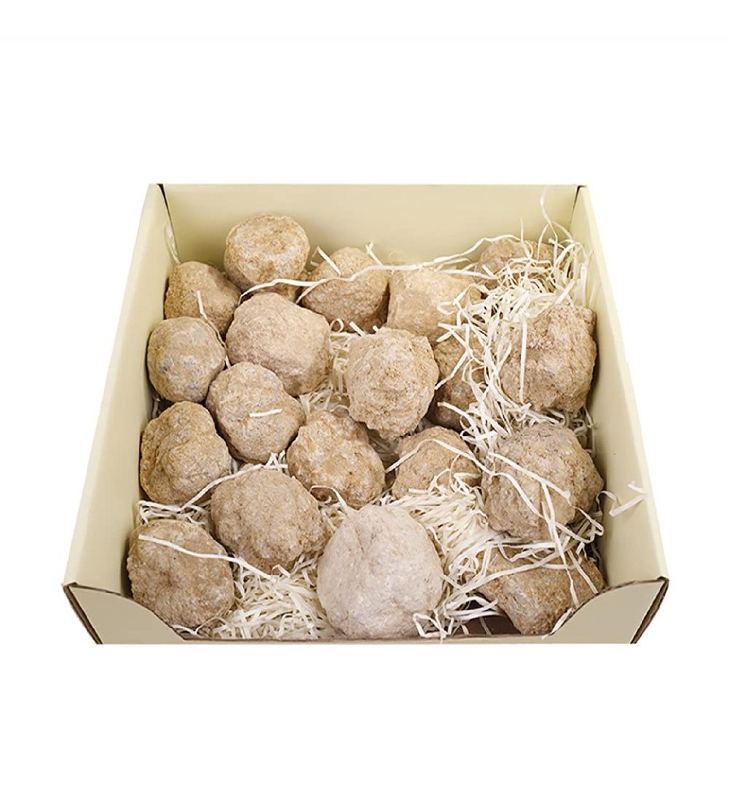 Natural Crystal Rough 1pcs Geode Agate Raw s Natural White Stone Cavity for Collection Lovers Specimen Study Irregular Stone Beautiful (Color : Sent at Random 1Pcs) - Buy Online on GoSupps.com