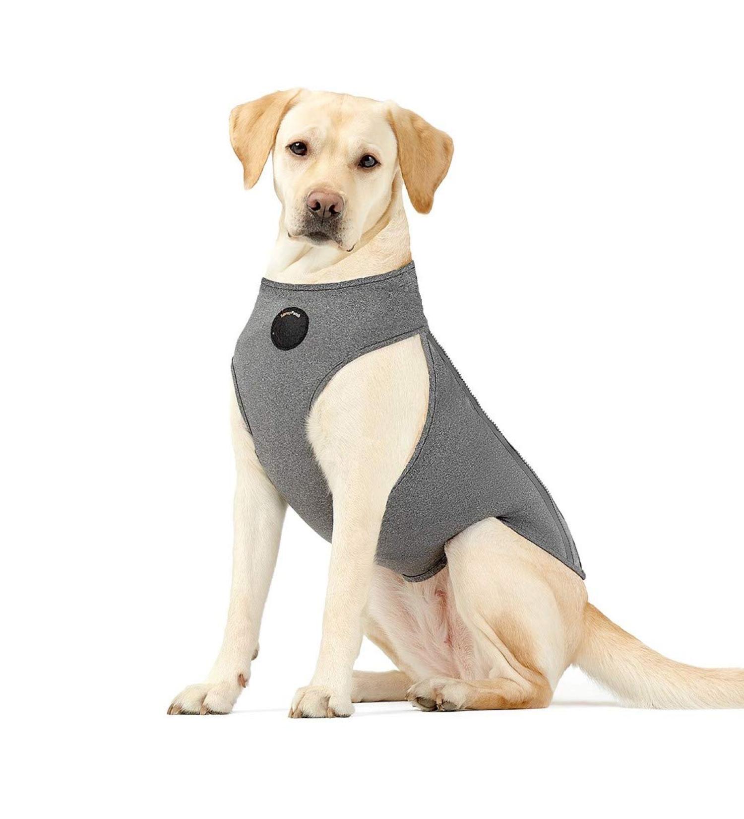 Neoally Dog Angst Jacket - Adjustable Compression Thunder Shirt for Large Dogs | Ultimate Comfort & Soothing Effect - Buy Online on GoSupps.com