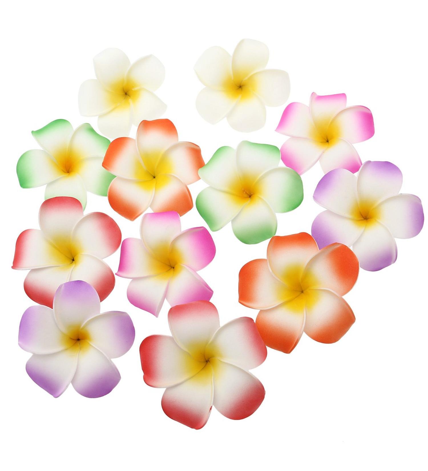 Frcolor 12-Piece 3.5 Hawaiian Plumeria Flower Hair Clips for Women - Beach Party Wedding Decoration (White Purple Green Rose Red Orange) - Pack of 12 - Buy Online on GoSupps.com