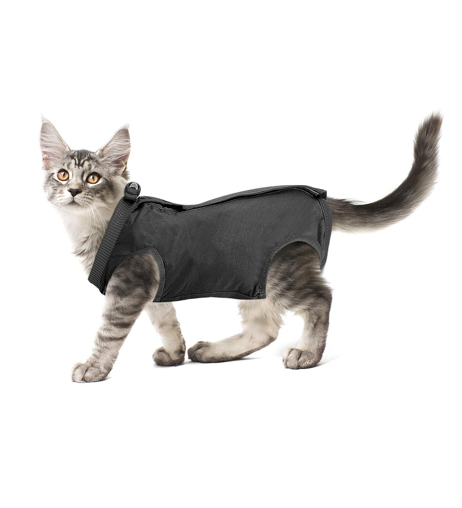 Buy Cobee Professional Recovery Suit for Cats & Dogs | Ideal for Surgery Wounds & Skin Diseases - Size L Gray - Buy Online on GoSupps.com