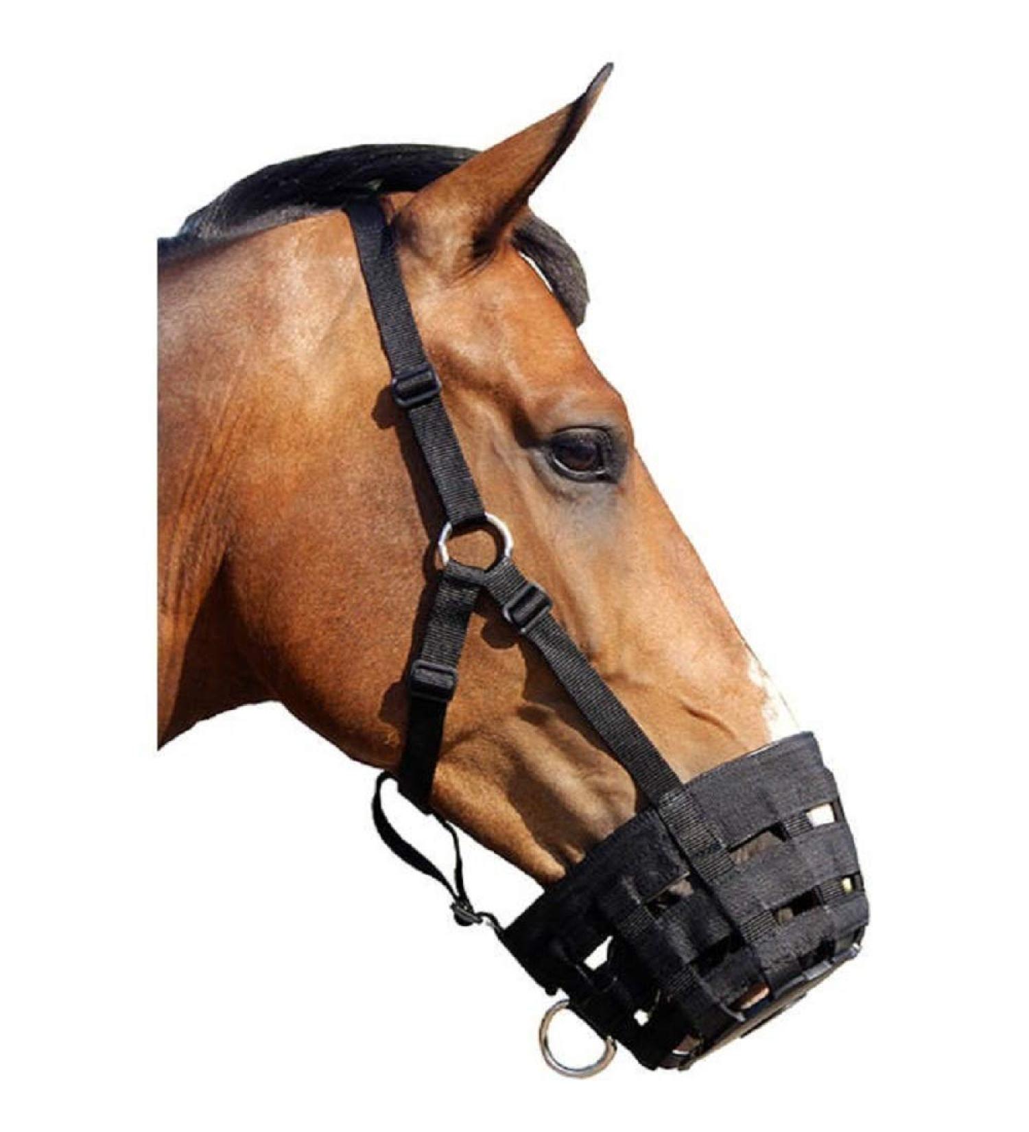 ARBO-INOX - grazing muzzle - black - elastic polypropylene - with ring for guiding (pony)