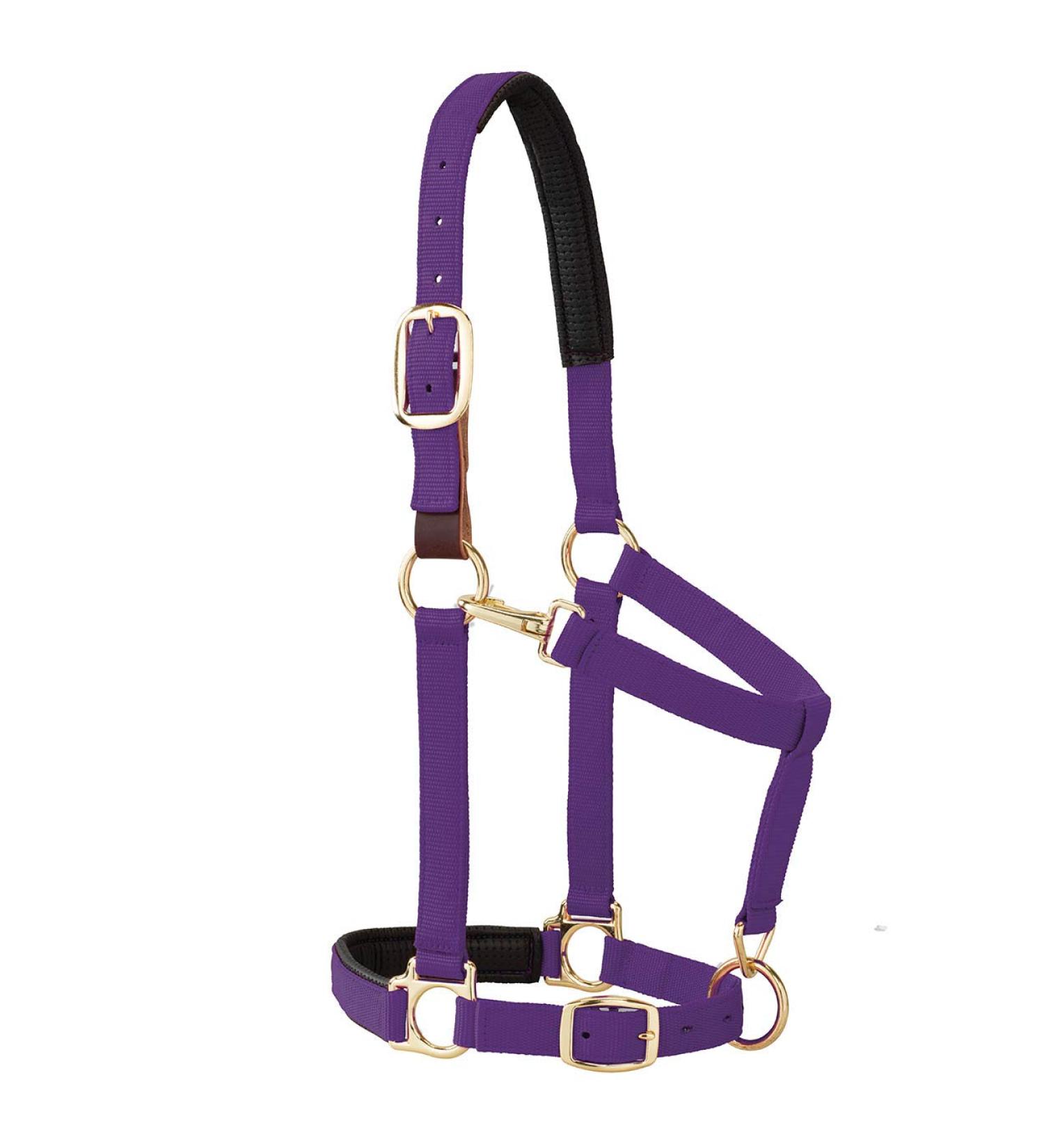 Weaver Leather Padded Breakaway Adjustable Chin & Throat Snap Halter, 1" Average Horse or Yearling Draft Purple