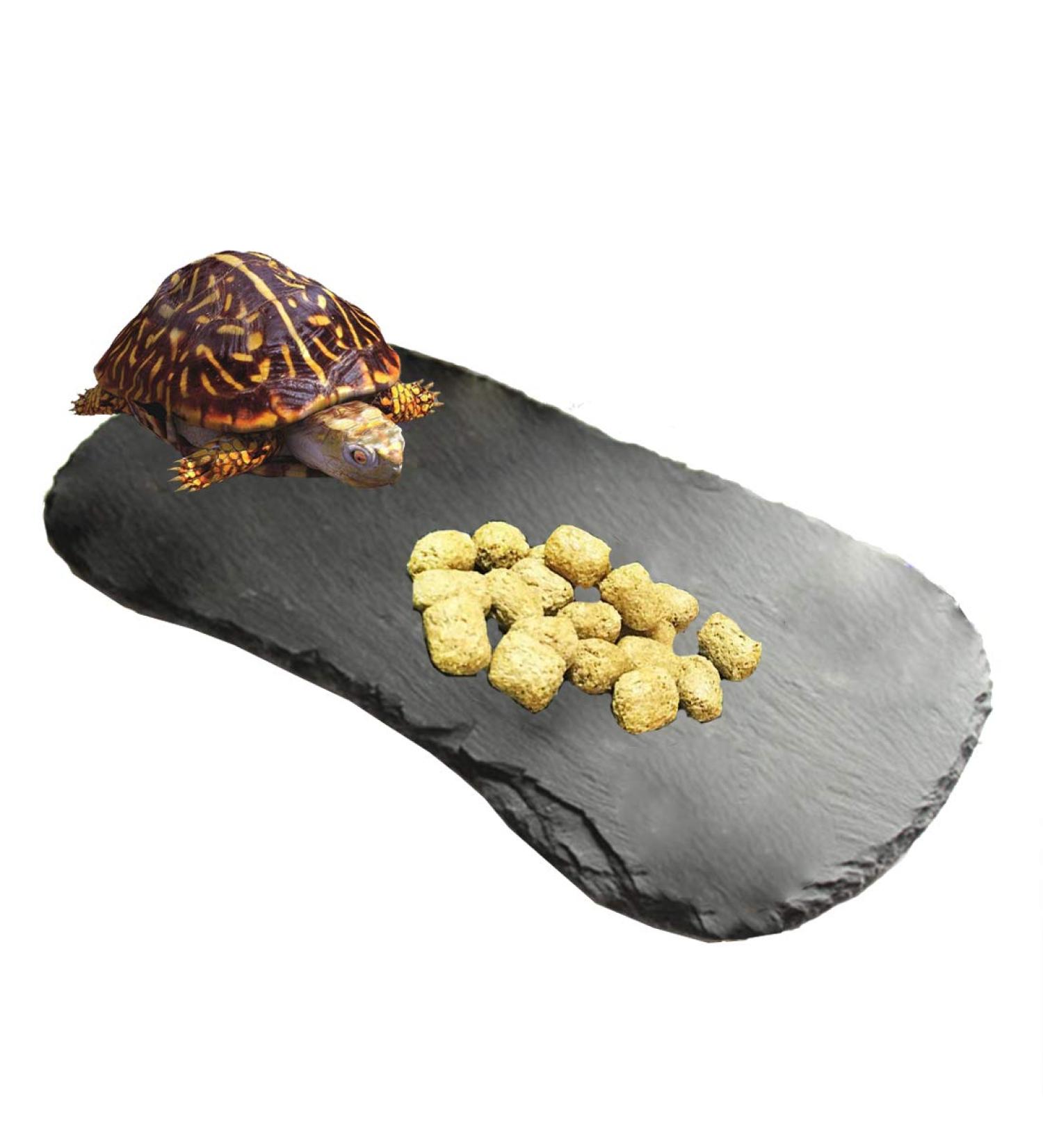Tfwadmx Reptile Basking Platform Tortoise Rock Plate Feeding Food Bowl Dish Feeding Slate Turtle Bathing Resting Platform for Lizard Gecko Bearded Dragon Chameleon Snake Frog 11''x5.5'' natural - Buy Online on GoSupps.com