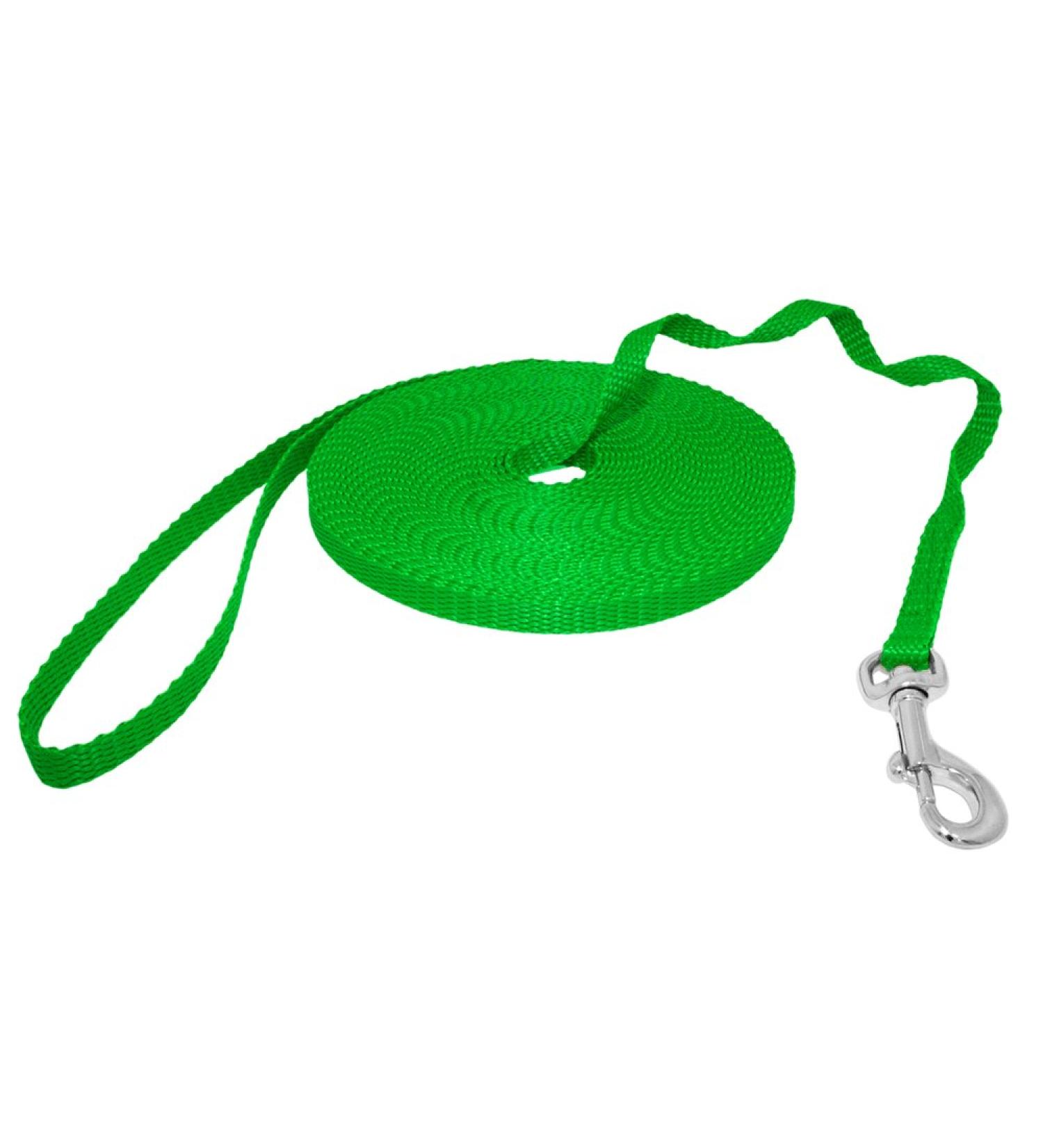 Dog Design Mini Leash Green 25m 25m Green