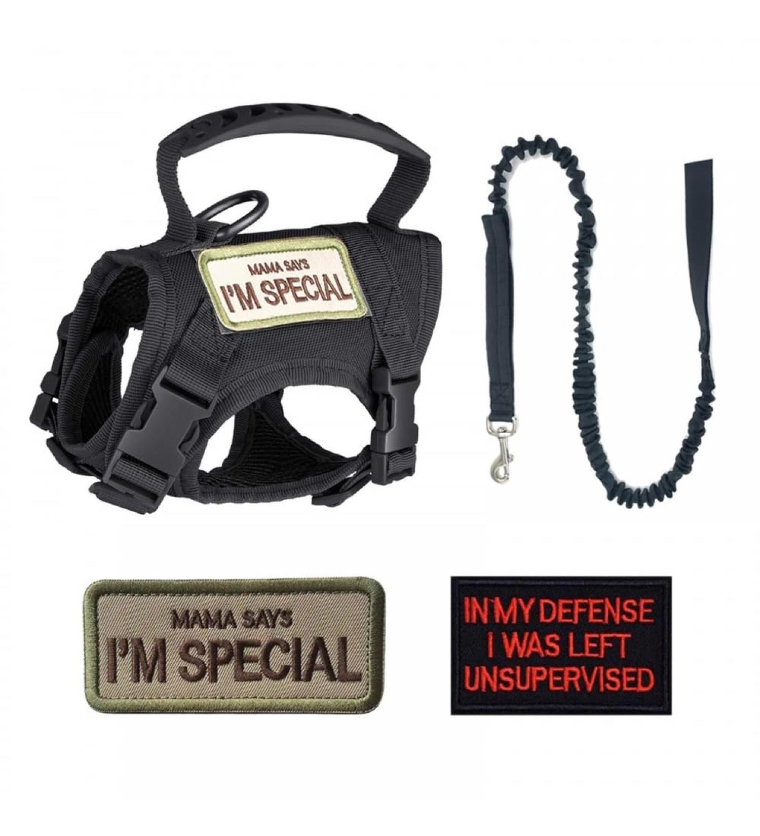 Shop Tactical Pet Leash & Cat Dishes - Durable Stylish International Shipping - Buy Online on GoSupps.com