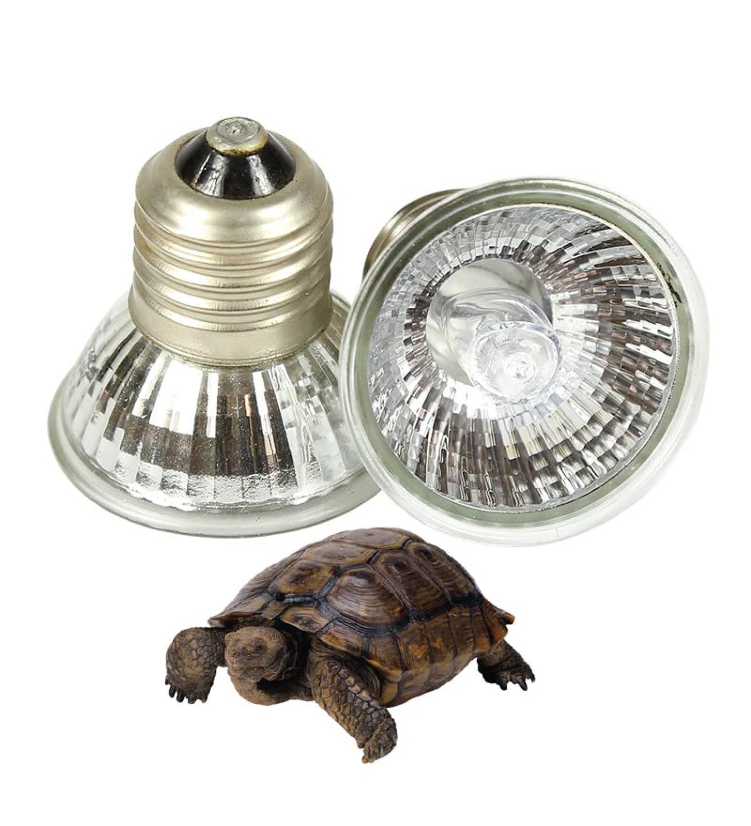 ATB Poison Red Light Lamp - 25W Infrared UVA + UVB Full Spectrum Sun Lamp for Reptiles & Amphibians | E27 Heat Lamp for Aquariums - Buy Online on GoSupps.com