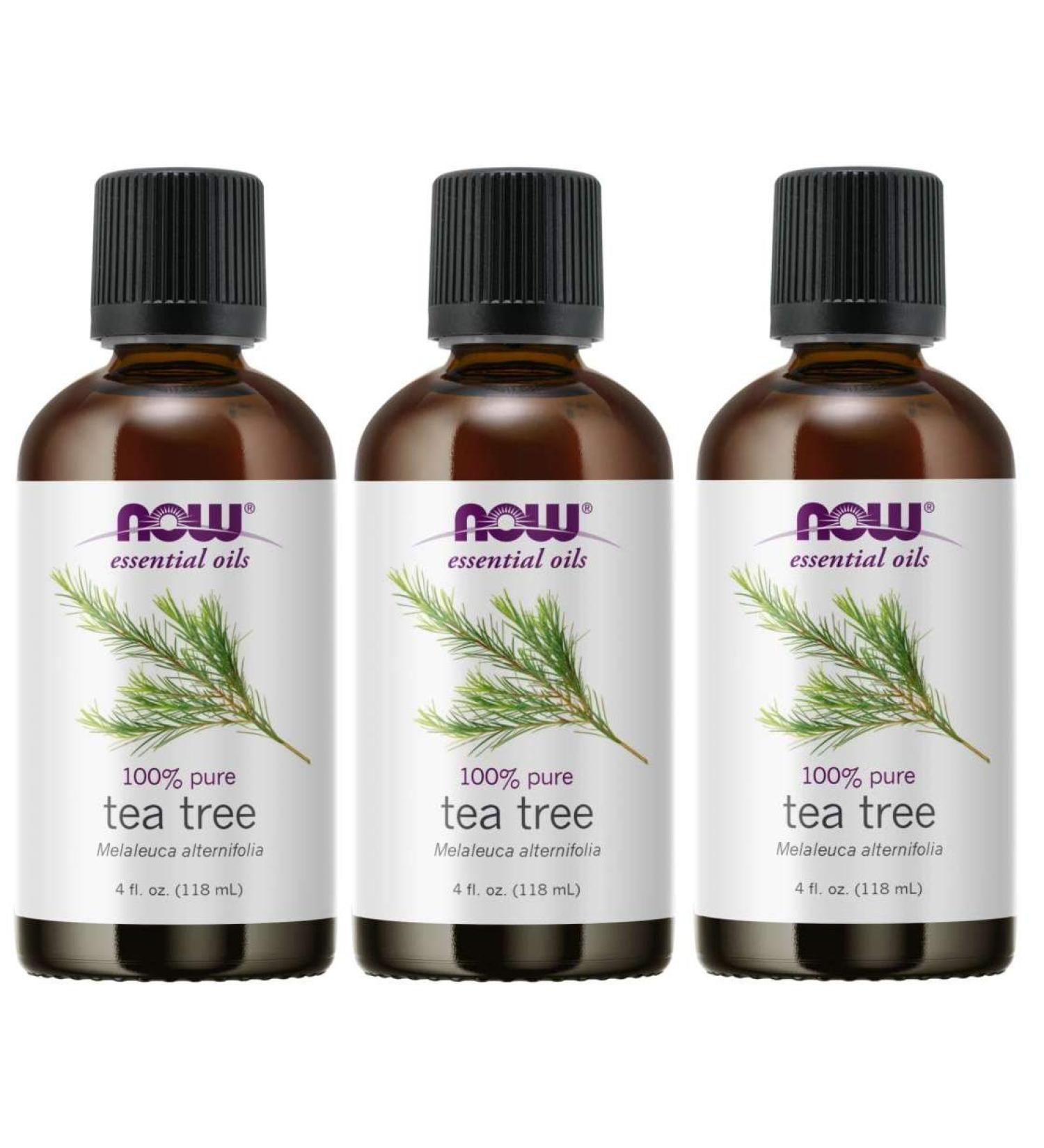 Now Foods Tea Tree Oil 4 Ounces Pack of 3 - Buy Online on GoSupps.com