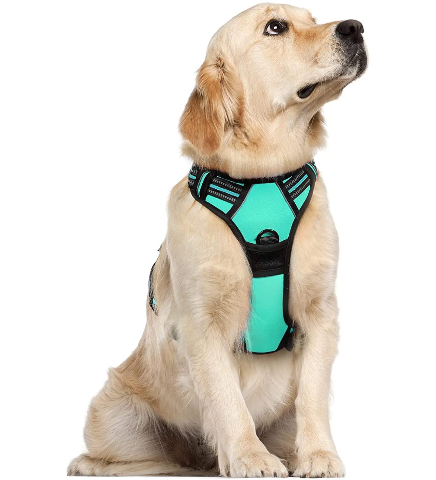 Rabbitgoo Medium Dog Harness - No Pull Adjustable Breathable Control Harness for Large Dogs - Reflex Stripes Safe Guide in Mint Green (1 Pack) - Buy Online on GoSupps.com