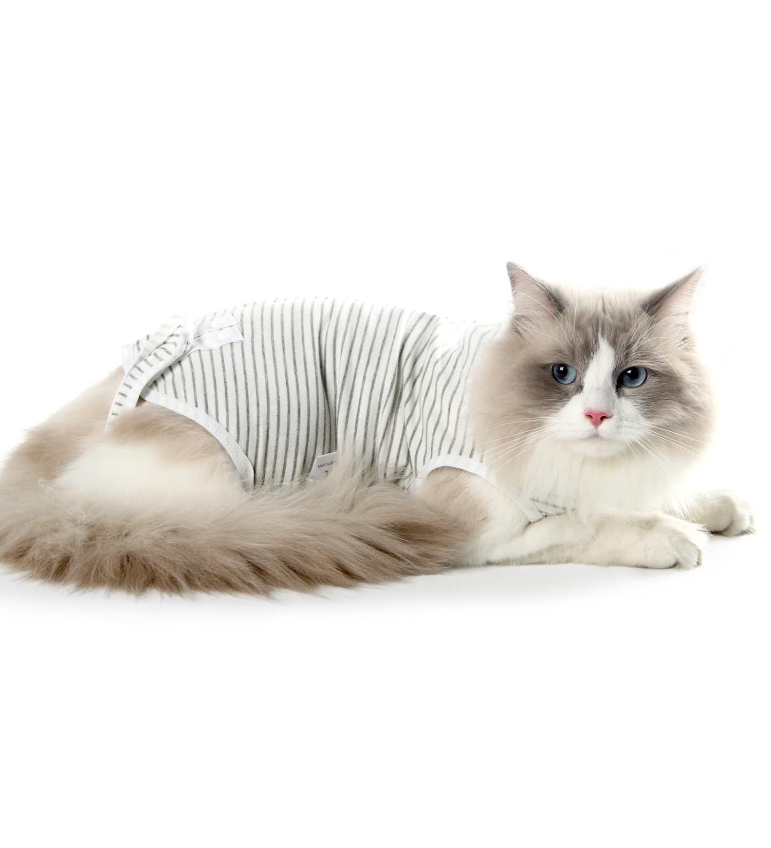 Dotoner Cat Recovery Suit - Surgical Shirt for Wounds Comfortable Alternative to Cone - Soft Indoor Pet Clothing (Gray M) - Buy Online on GoSupps.com