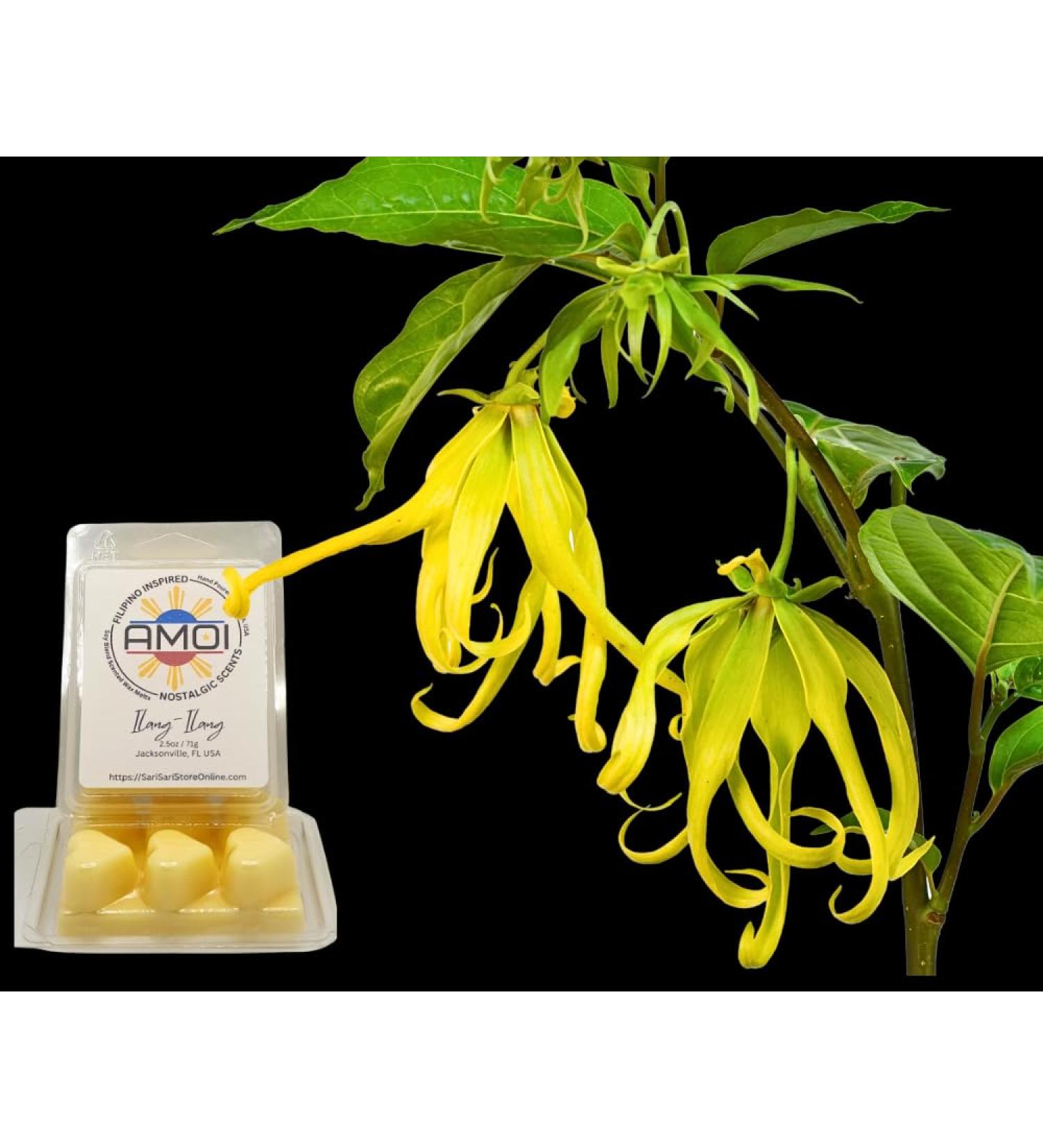 Buy Filipino-Inspired Ilang-Ilang (Ylang-Yang) Scented Candle Wax Melts | Shop Internationally - Buy Online on GoSupps.com