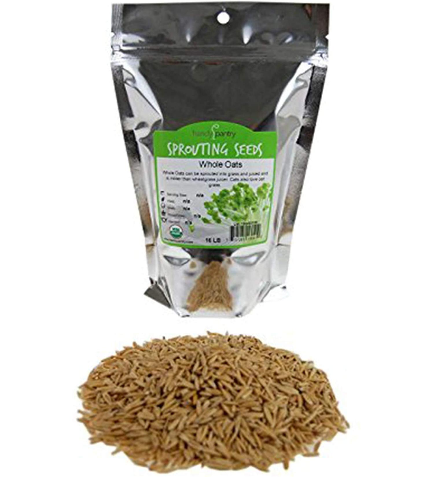 Organic Non-GMO Whole Oat Grain Seeds - 1 lb Re-Sealable Pouch | Sprouting, Oat Grass, Animal Feed, Storage | Oats Seed Grains with Husk Intact - Buy Online on GoSupps.com