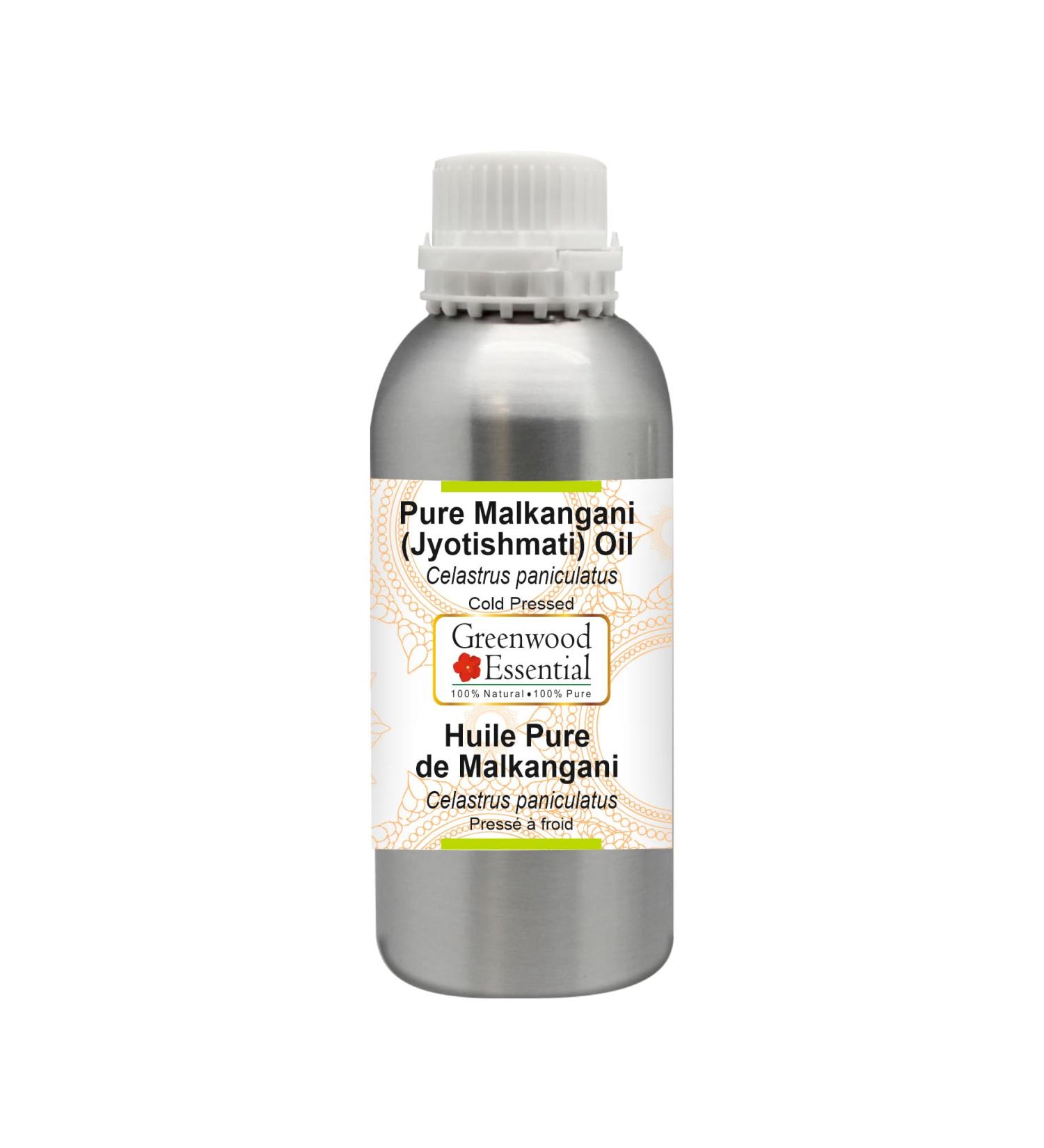Greenwood Essential Malkangani Oil - 100% Pure Cold-Pressed Celastrus Paniculatus | Therapeutic Quality | 300ml (10 oz) - Natural Healing Oil for International Shipping - Buy Online on GoSupps.com