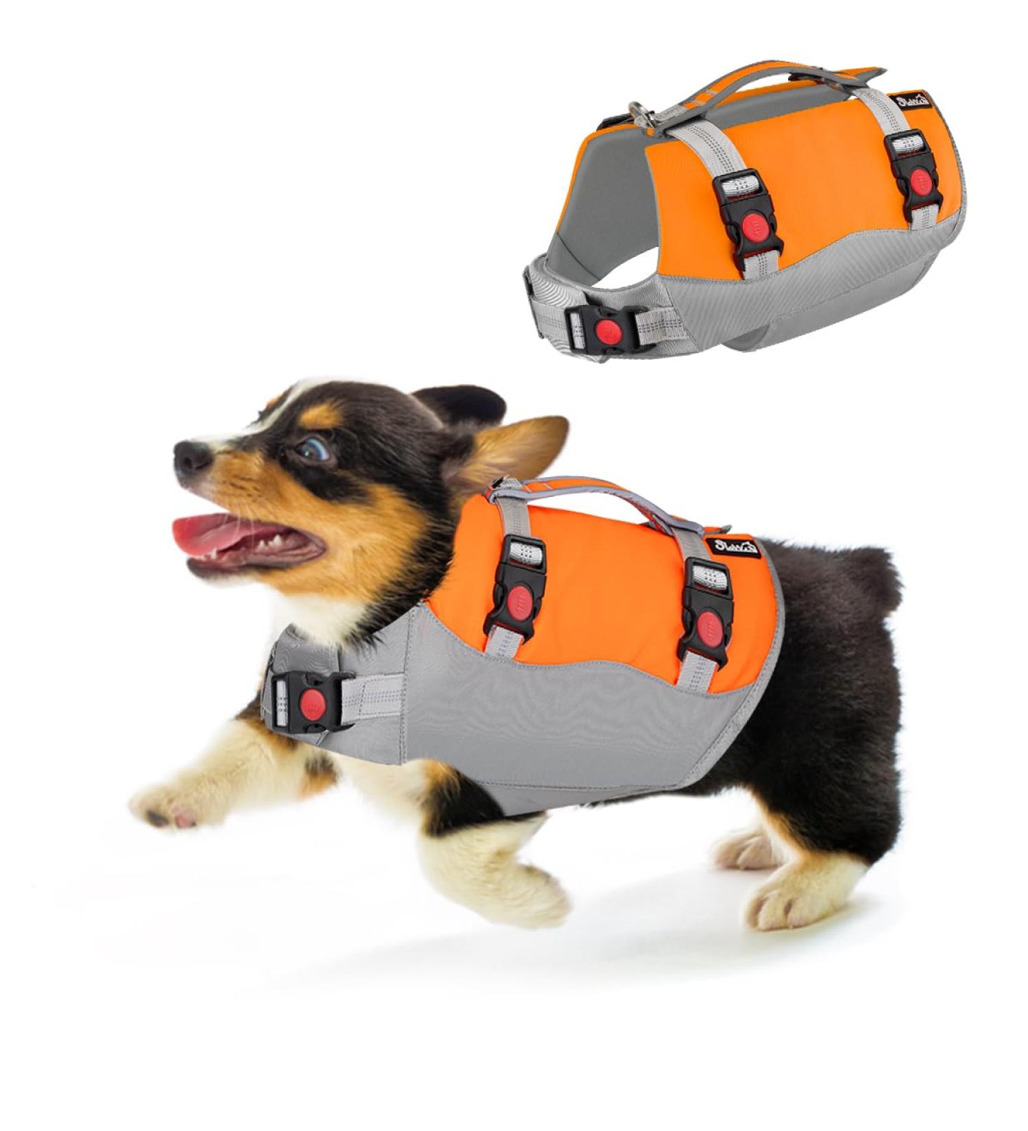 Eyin Life Jackets for Small Dogs | Adjustable Dog Vest with Strong Buoyancy & Reflective Handle | Tear-Resistant Swimming Aid (XS Orange & Gray) - Buy Online on GoSupps.com