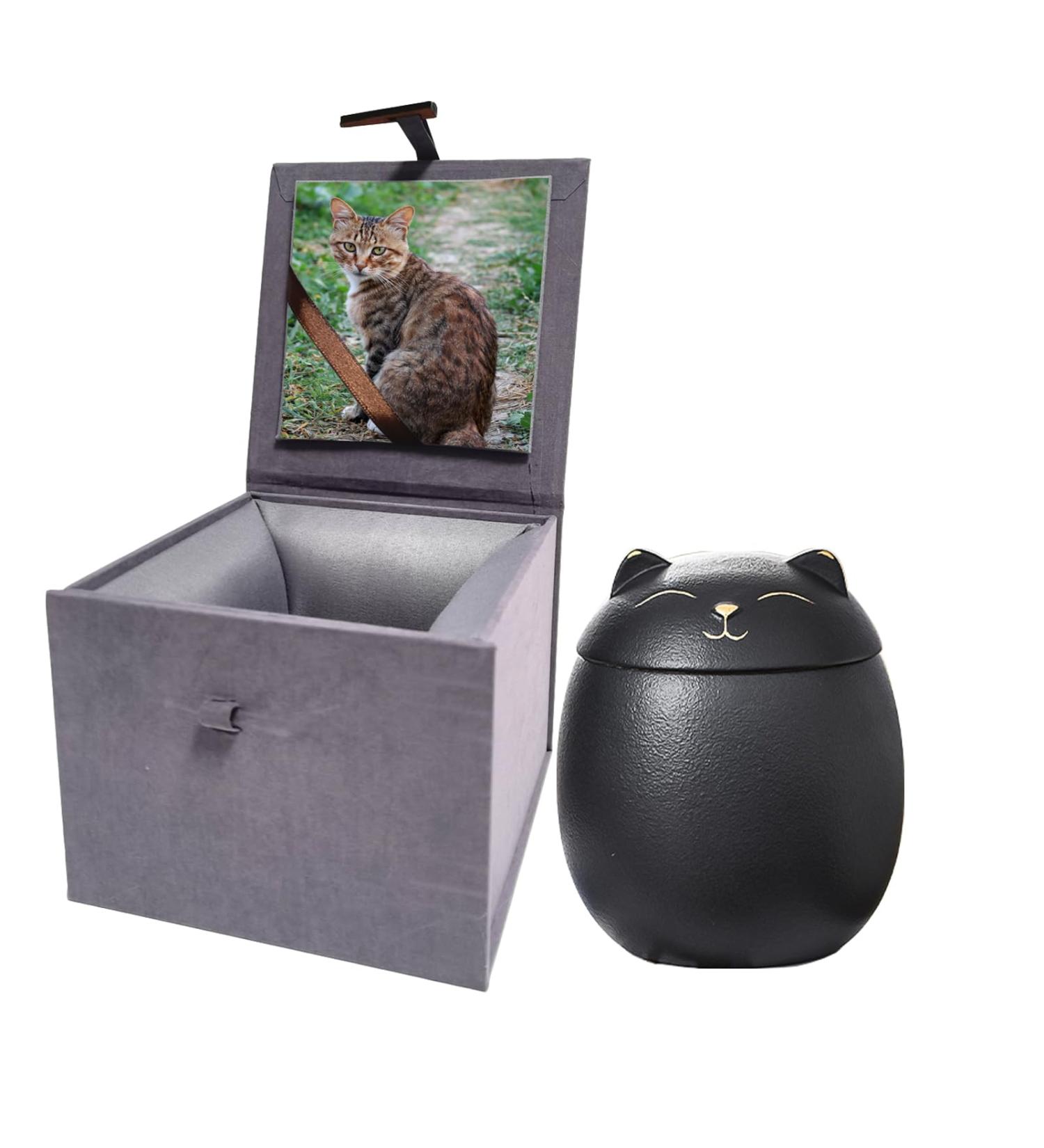 Mini Urns for Ashes Handicrafted Matte Ceramic Cat Ashes Urns Small Pets Ashes Keepsake Memorial Gift Ashes Holder with Exquisite Box-Black Small S Black - Buy Online on GoSupps.com