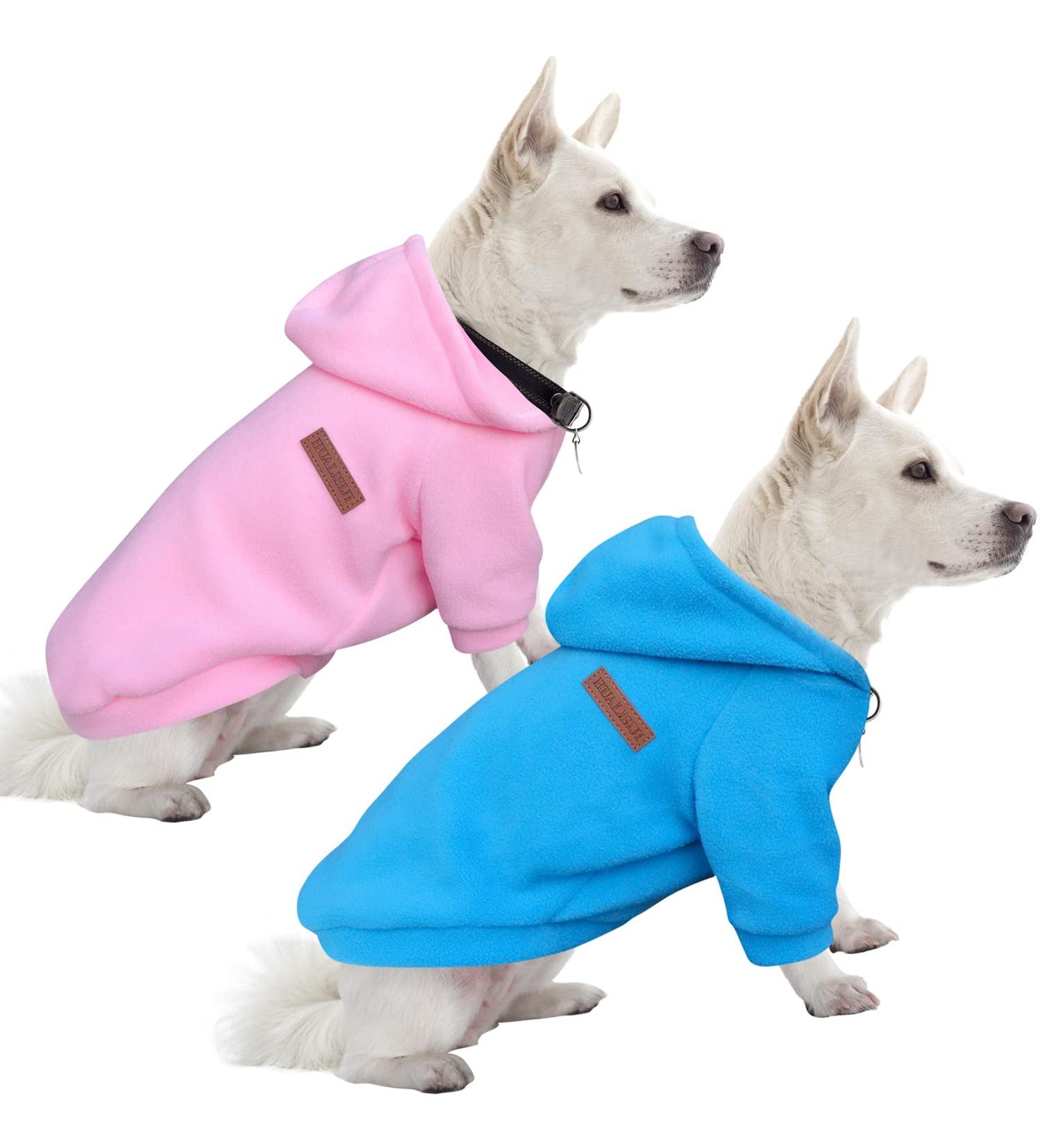 Shop Hualisiji Dogs Hoodie & Fleece Sweatshirt | Warm & Lightweight Chihuahua Sweaters in Pink & Blue - Perfect for Your Pet! - Buy Online on GoSupps.com