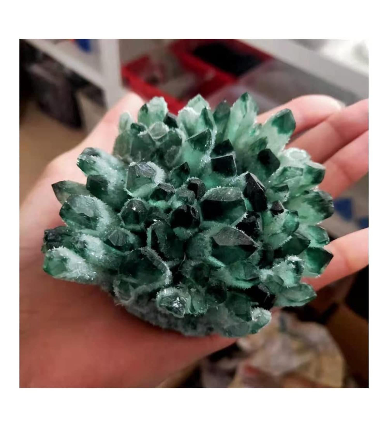 Natural Crystal Rough Stone Crafts Newly Discovered Green Quartz Crystal Cluster Specimen (Size : 600-700g) - Buy Online on GoSupps.com