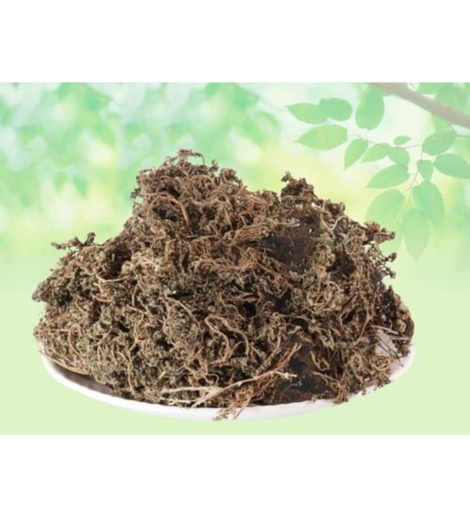 Nak Chikni-Dregea Volubilis-Raw Herbs-Nak Chikni-Sneeze Wort-Centipeda Minima-Jadi Booti-Single Herbs (100 Gram) - Buy Online on GoSupps.com