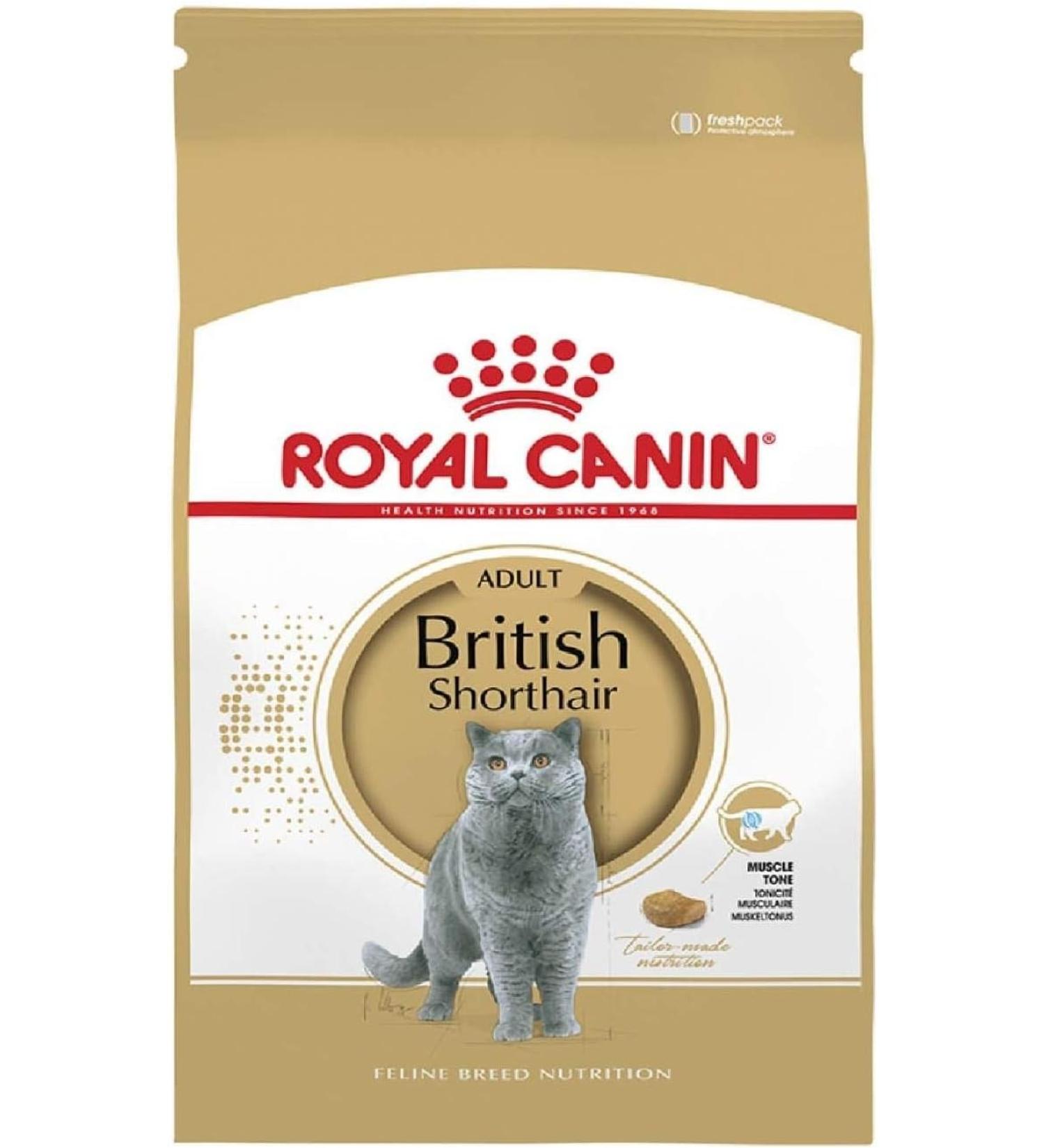Royal Canin Cat Food British Shorthair Dry Mix 2 kg 2 kg (Pack of 1) - Buy Online on GoSupps.com