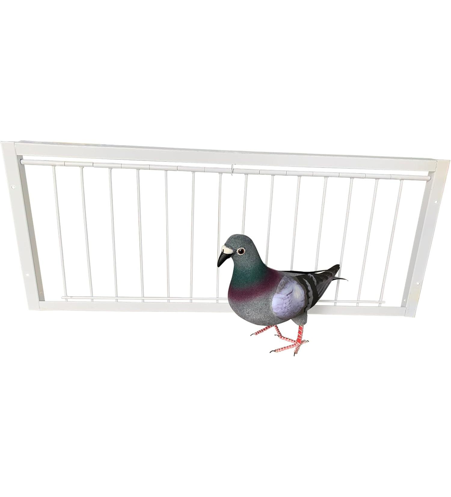 Pigeon Loft Door Pigeon Entrance Door Trap Door Pigeon House Door Racing Supplies Pet Bird Supply Product Bird cage Door - 60cm/24in - Buy Online on GoSupps.com