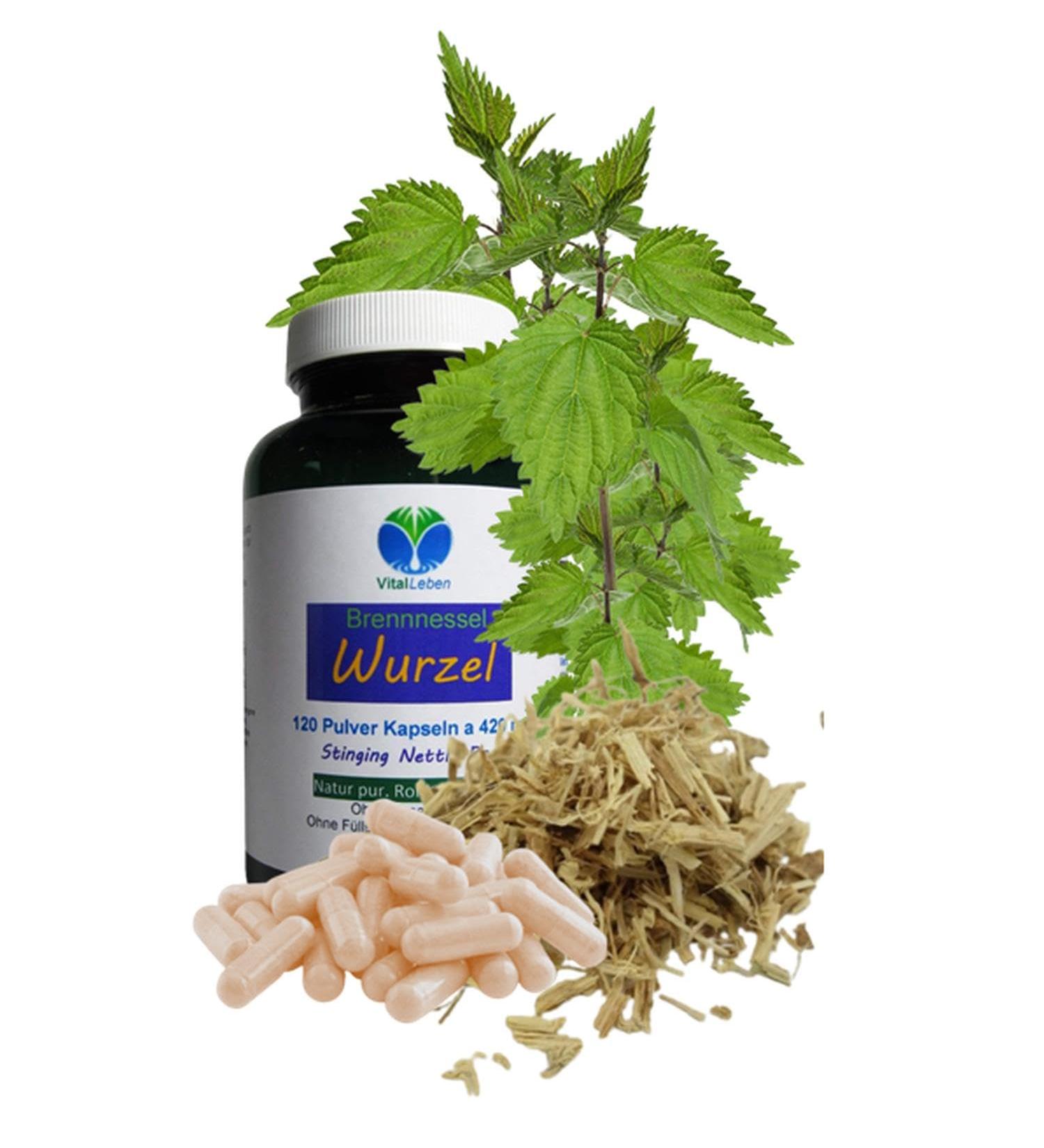 Nettle Root 120 Powder Capsules | Natural Pure Nettle for Bladder & Prostate Health - No Additives - Hildegard von Bingen Inspired - Buy Online on GoSupps.com
