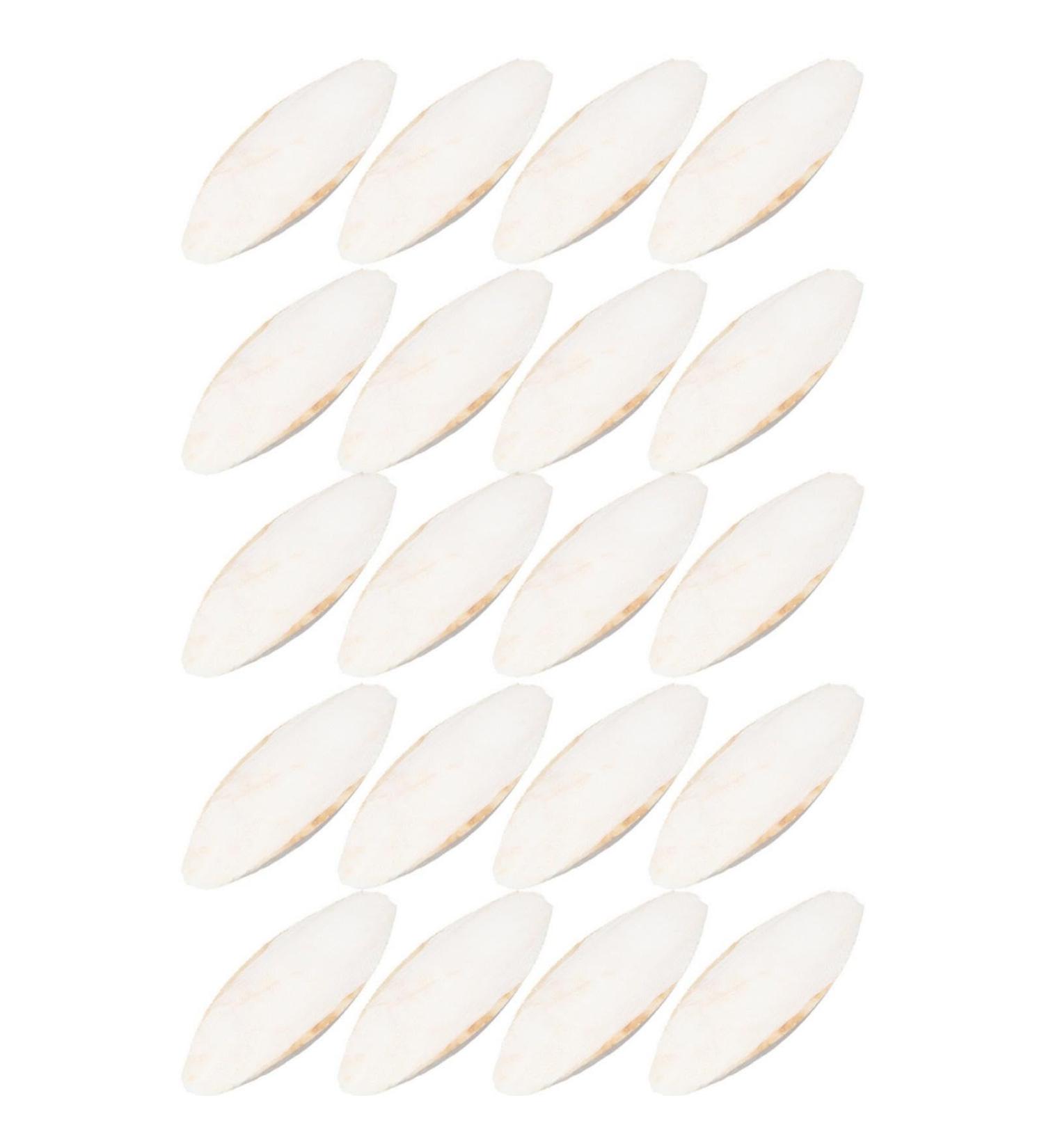 20 Pieces Tall Sepia Shells - Natural Sepia Bowls for Turtles Birds & Reptiles | Cuddly Bones & Feed Toys - Buy Online on GoSupps.com