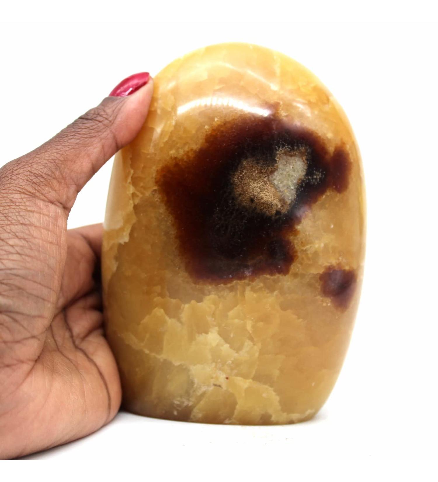 G n rique Madagascan Natural Septaria Stone 1200 g 130 mm - Buy Online on GoSupps.com