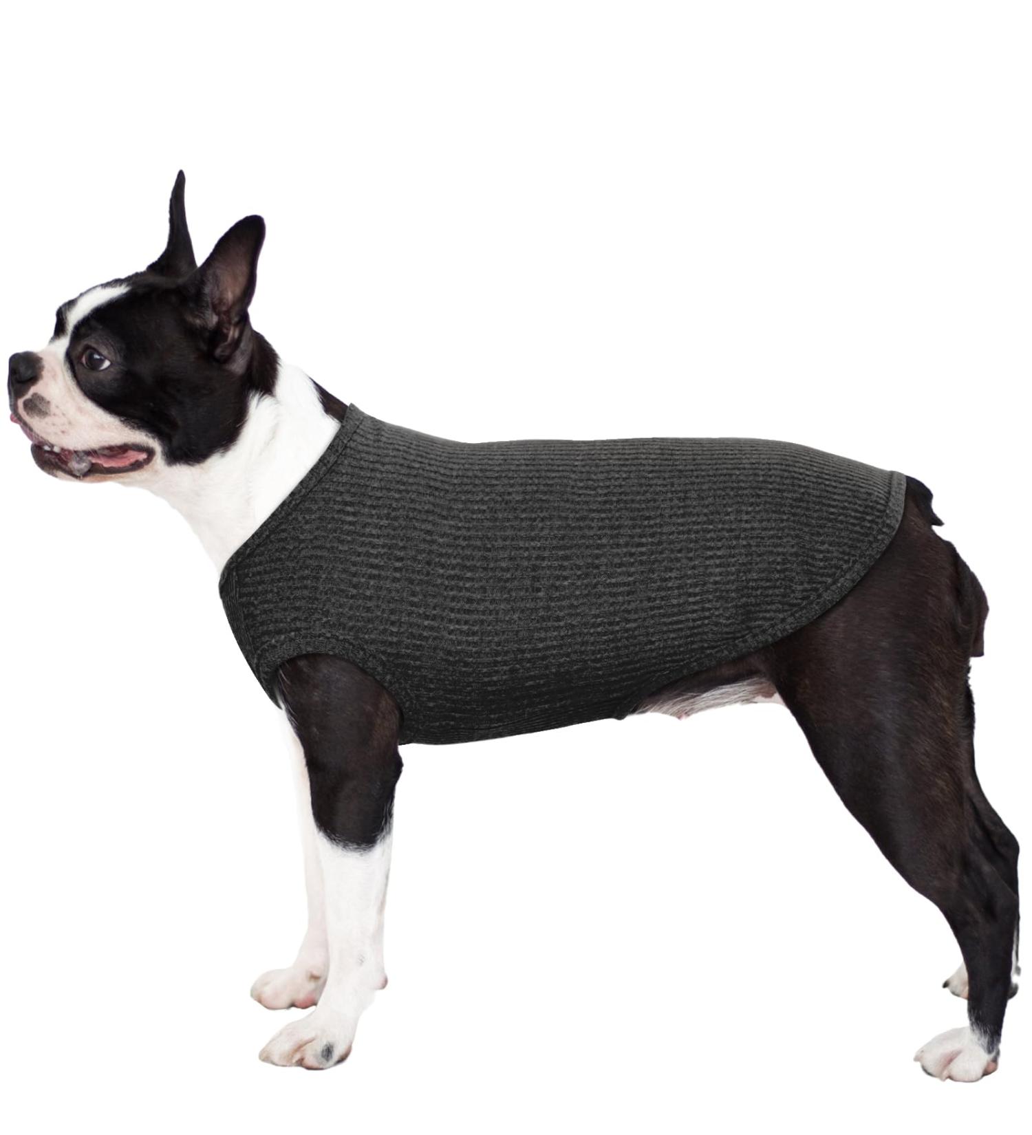 Hjumarayan Dog Sweater - Soft Breathable Clothing for Small Dogs & Cats | Stylish Vest for Chihuahua French Bulldog & Puppies - Black - Buy Online on GoSupps.com