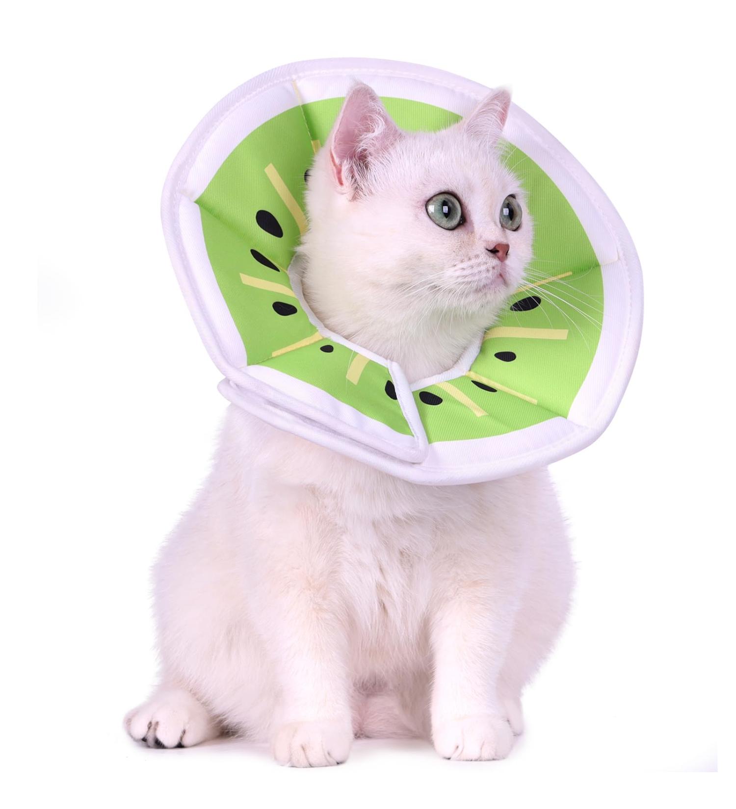 Supet Halskrause Adjustable Cat Collar - Post-Surgery Recovery Cone | Kiwi Color (S: 14-23cm) - Buy Online on GoSupps.com