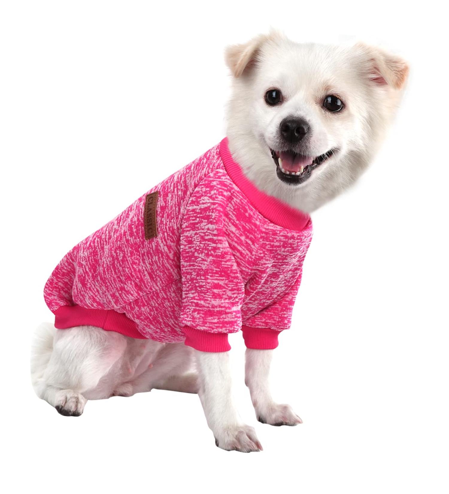 Buy Hualisiji Rose Red Dog Sweater for Small Dogs | Warm Light & Soft Chihuahua Hoodie | Perfect Elastic Knitwear (XL) - Buy Online on GoSupps.com