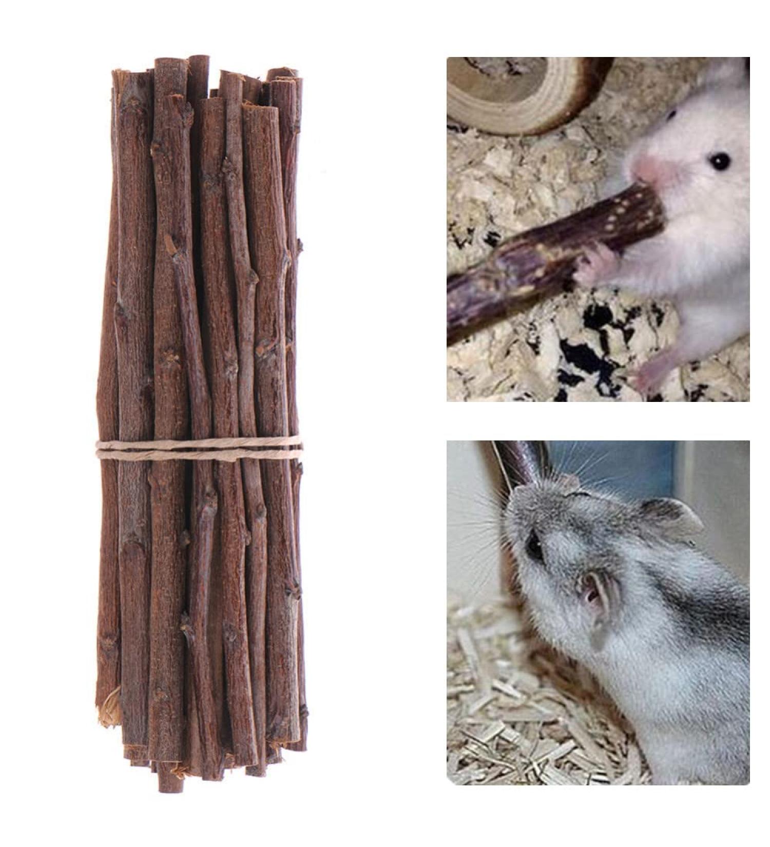 Baosroy Chinchilla Apple Sticks - Natural Treats for Rabbits Hamsters and Guinea Pigs | 12PCS - Buy Online on GoSupps.com
