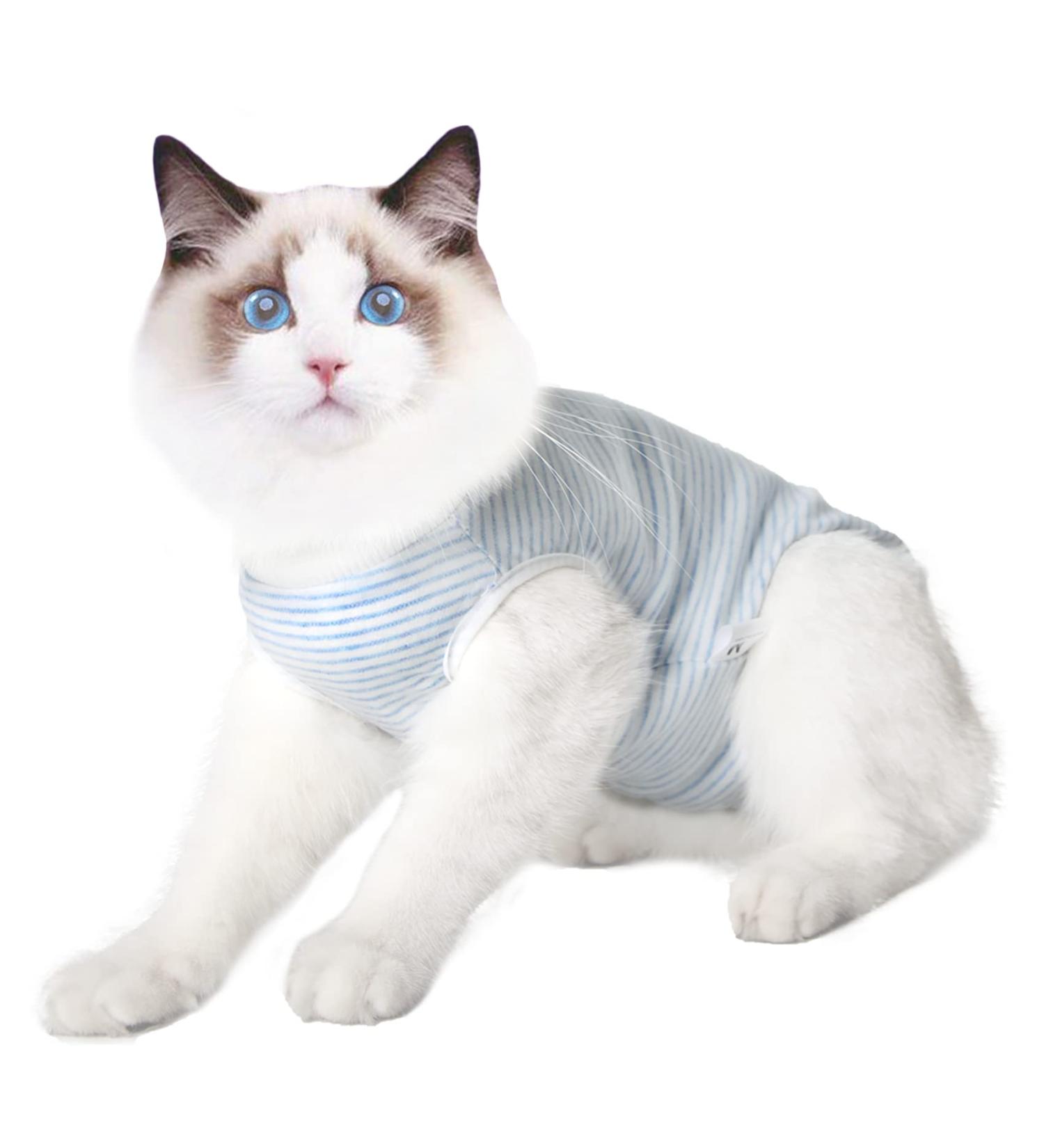 Dotoner Cat Recovery Suit - Surgical Shirt for Abdominal Wounds & E-Collar Alternative - S White Blue Stripes - Buy Online on GoSupps.com