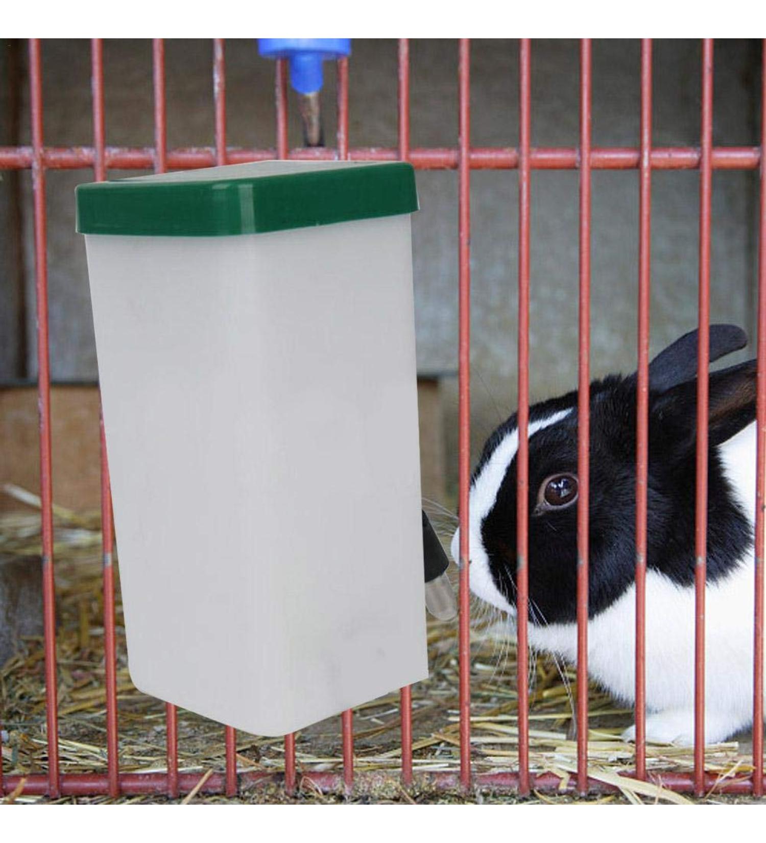 BRANDNEWS 1L Pet Water Dispenser Automatic Water Feeder Hanging Water Bottle Leakproof Rolling Ball Type Water Drinking Dispenser For Small Animal Rabbit Hamster Guinea Pigs Ferrets nice-looking - Buy Online on GoSupps.com