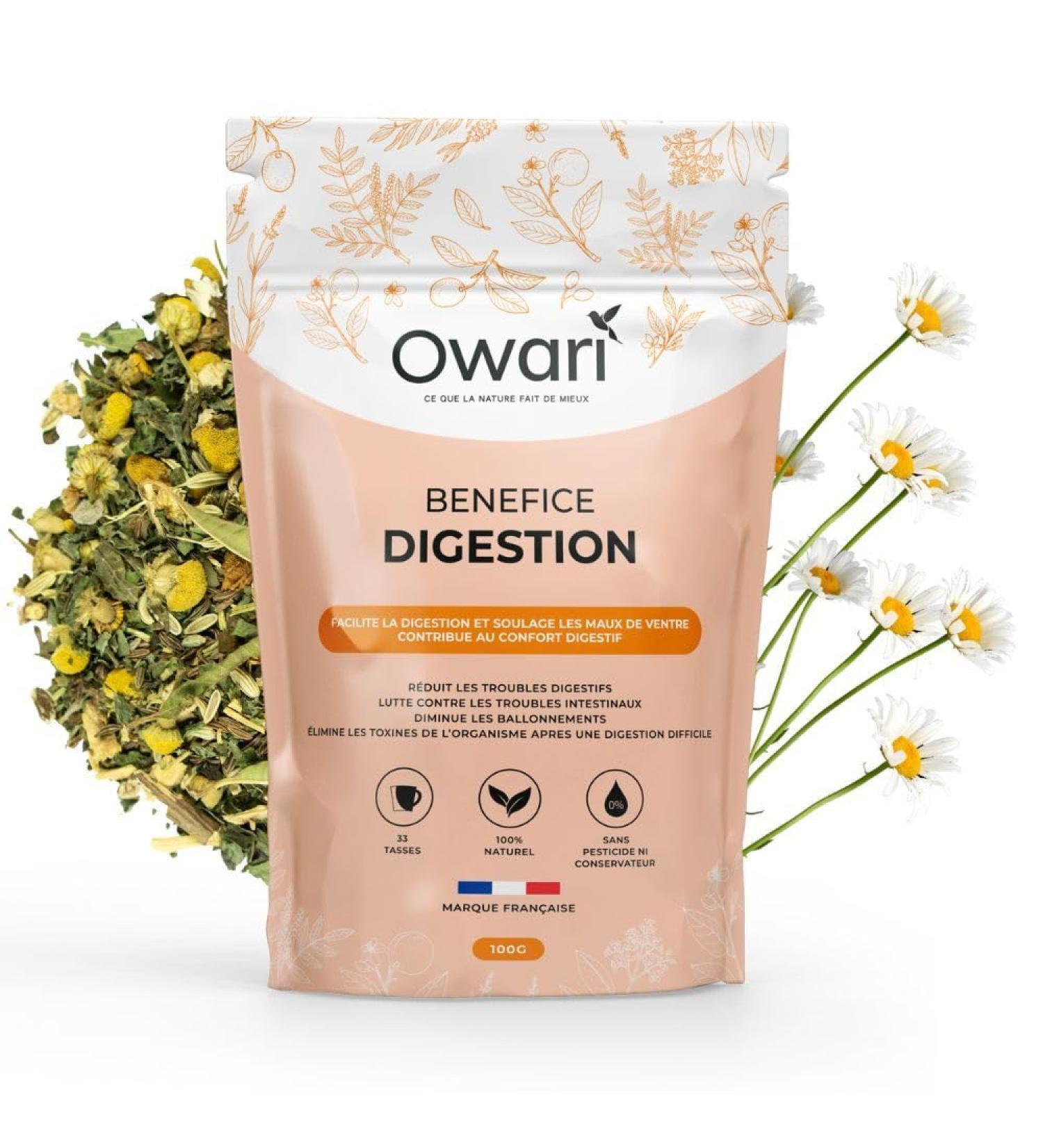  SLIMTEA OWARI DIGESTION BENEFIT - Facilitates digestion - Relieves stomach aches - Digestive comfort - Loose leaf tea 100g - 100% Natural Beverage - Buy Online on GoSupps.com